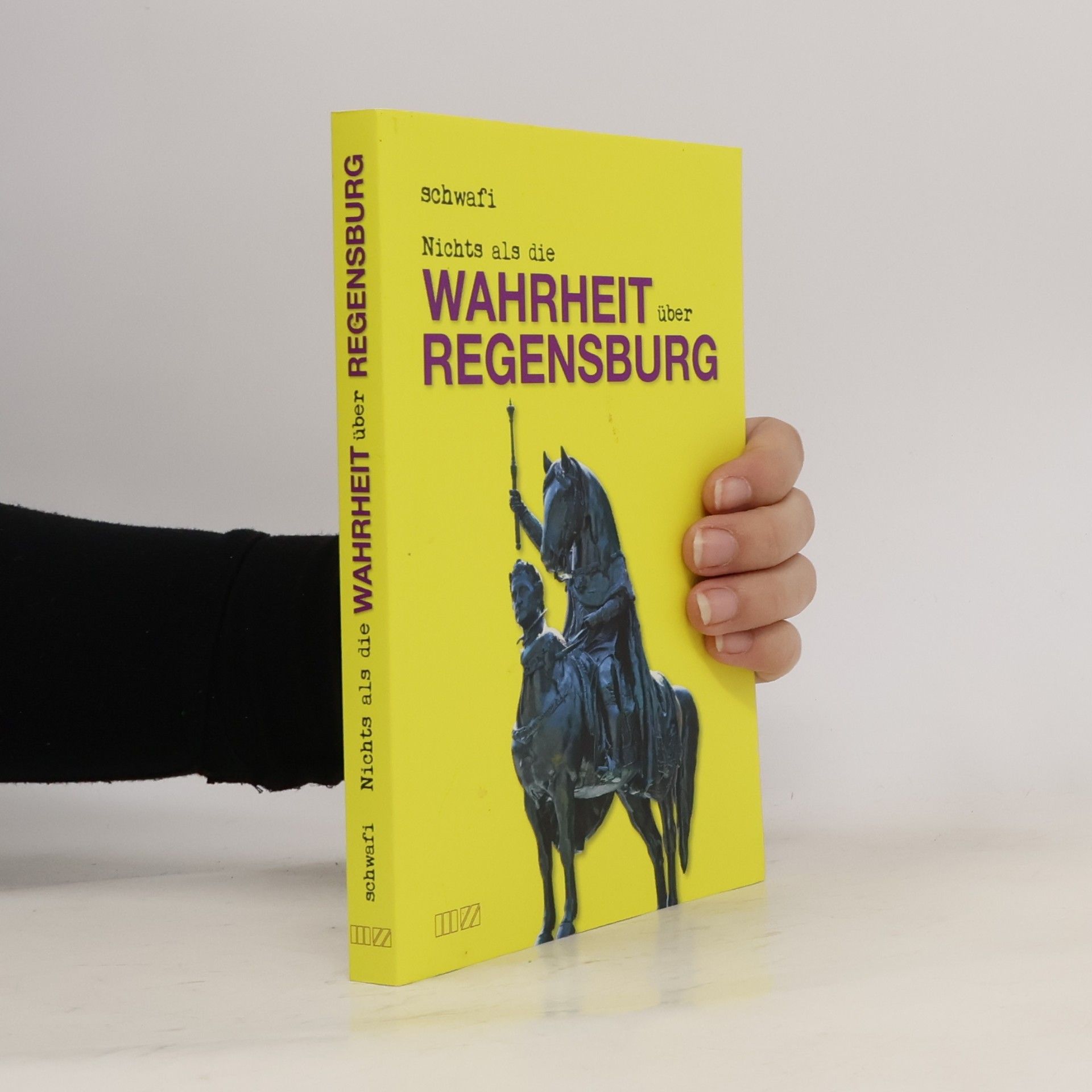 Klaus Schwarzfischer Schwafi Nichts als die Wahrheit über Regensburg