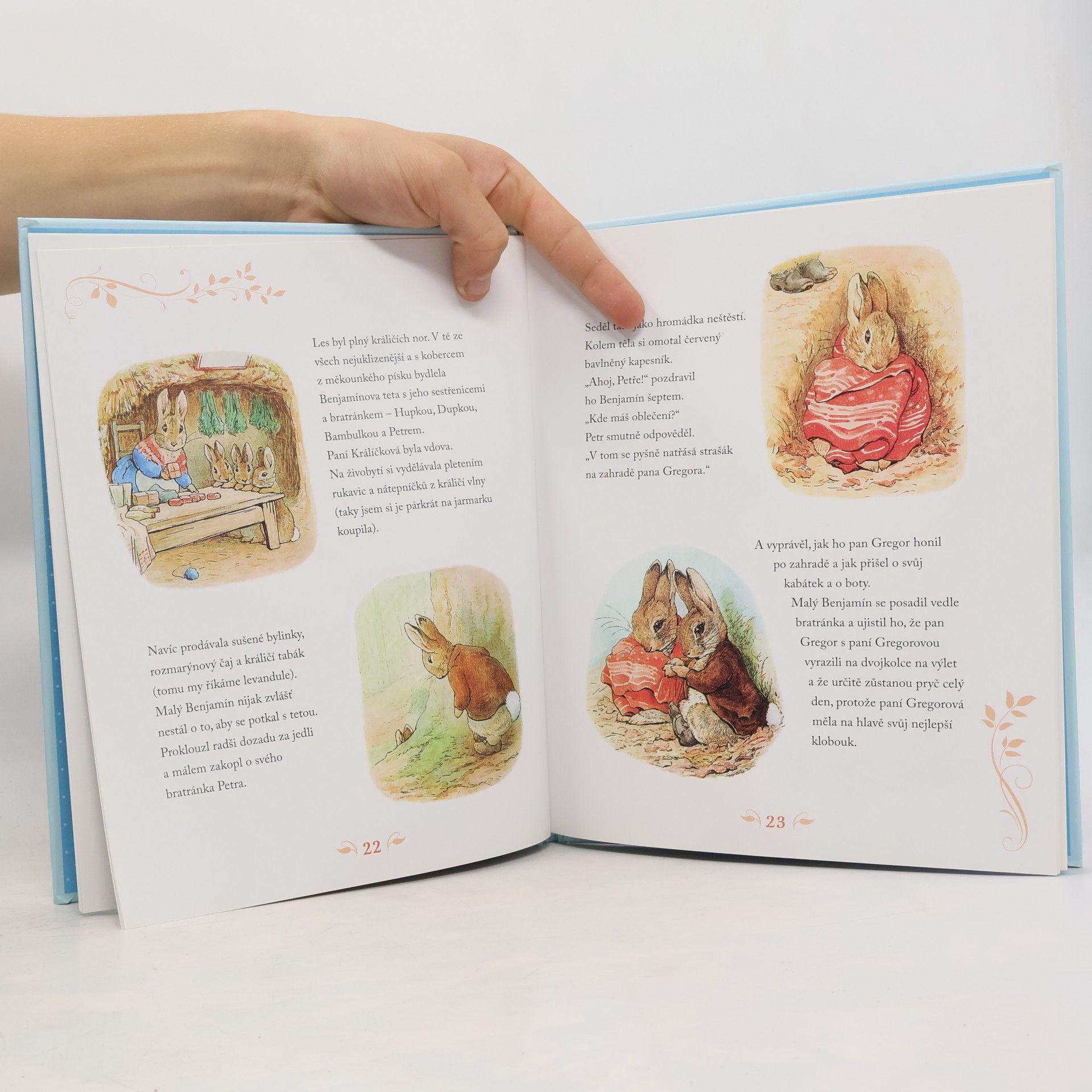 Beatrix Potter Příběhy králíčka Petra