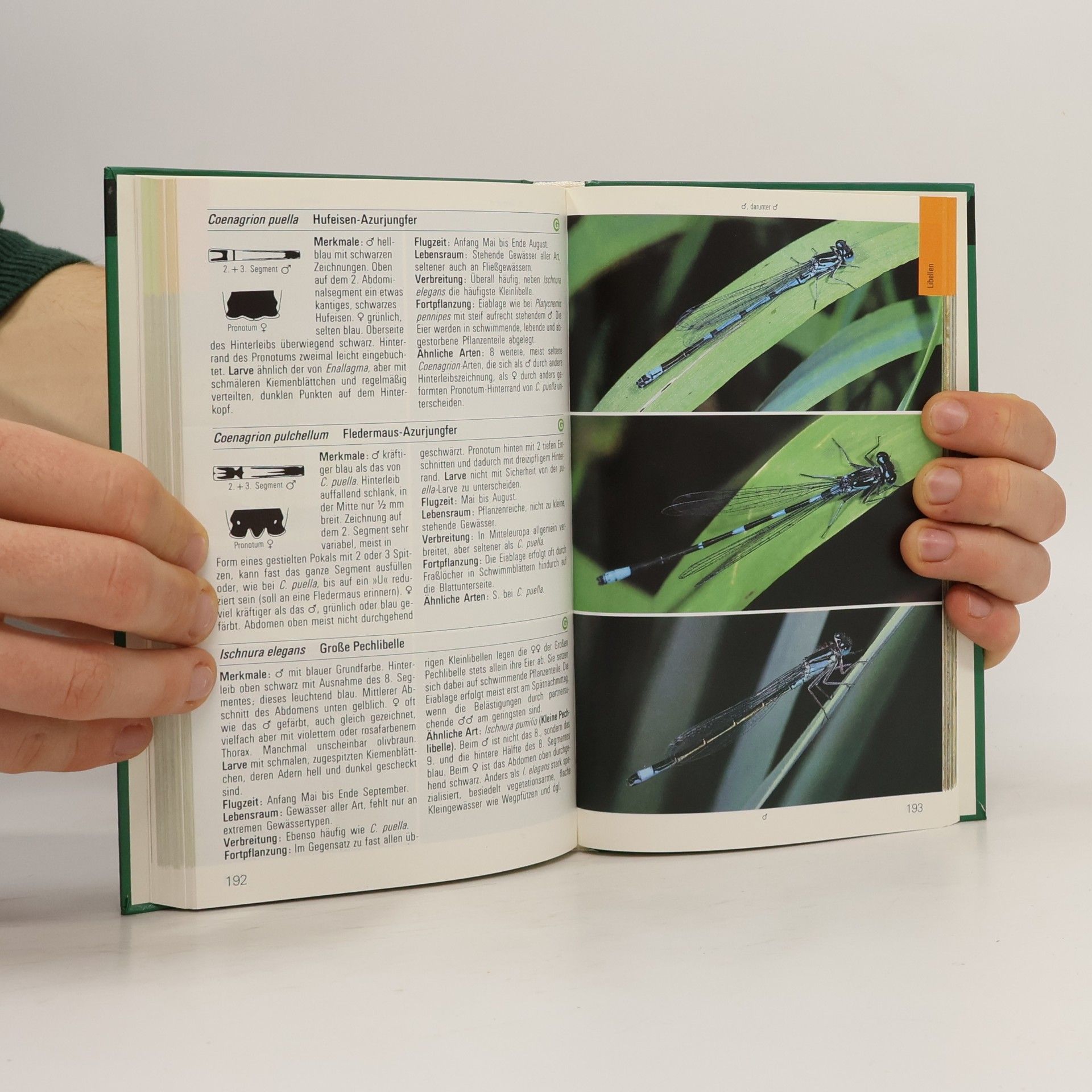 Autorenkollektiv Leben in Bach und Teich