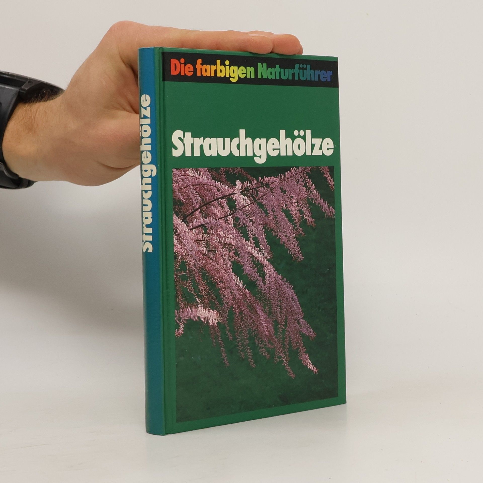 Kolektiv autorů Strauchgehölze