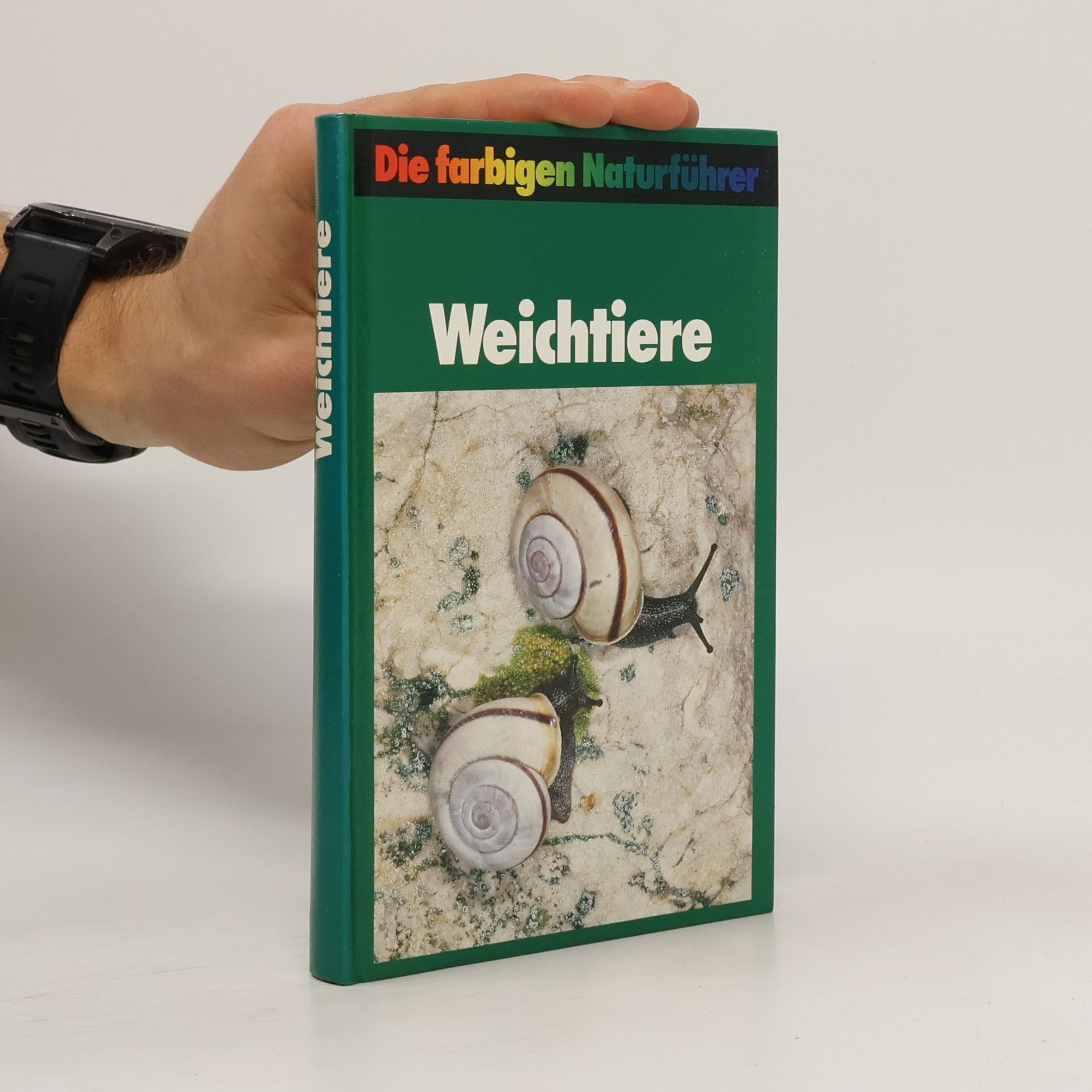 Kolektiv autorů Weichtiere