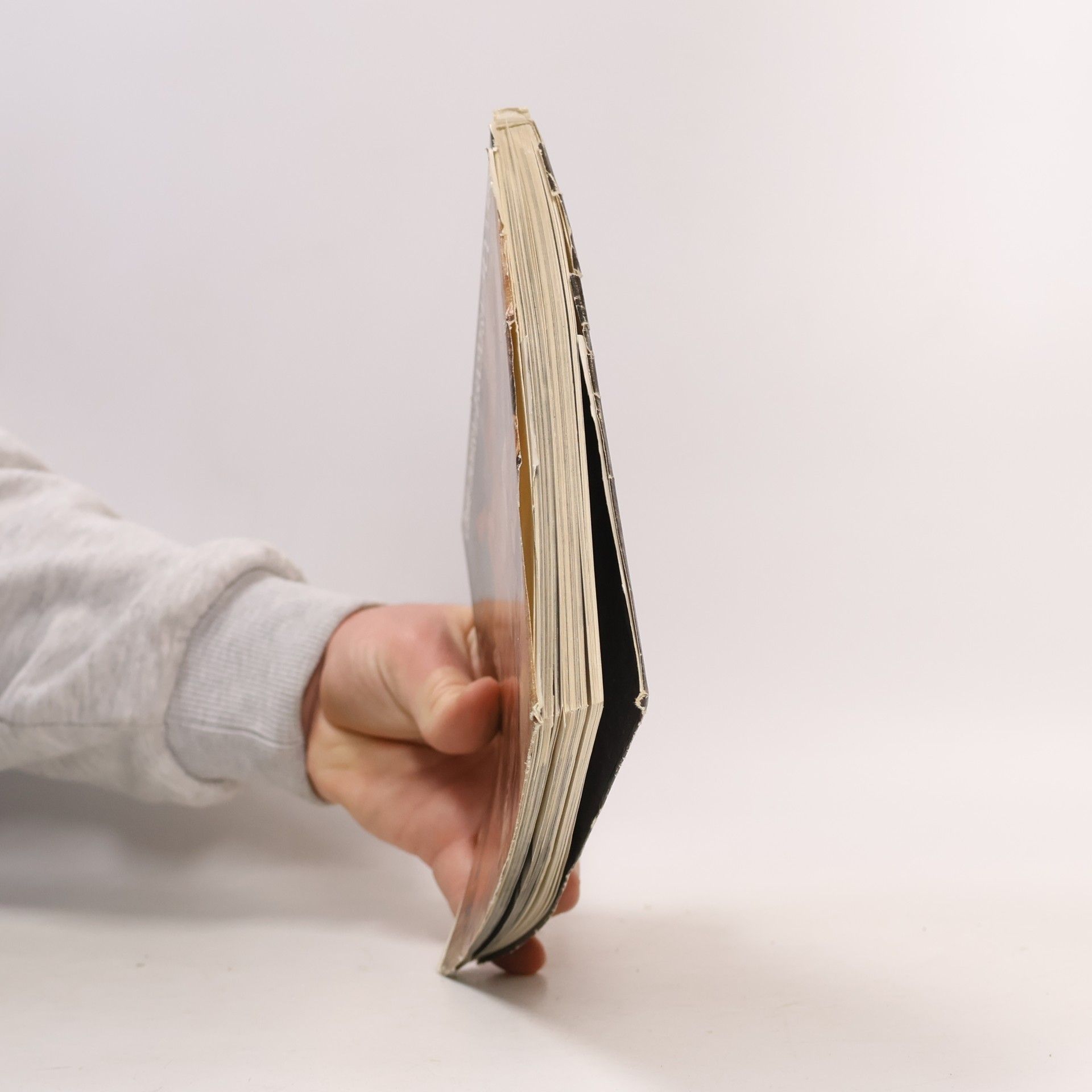 Autorenkollektiv České malířství a sochařství 1900-1980