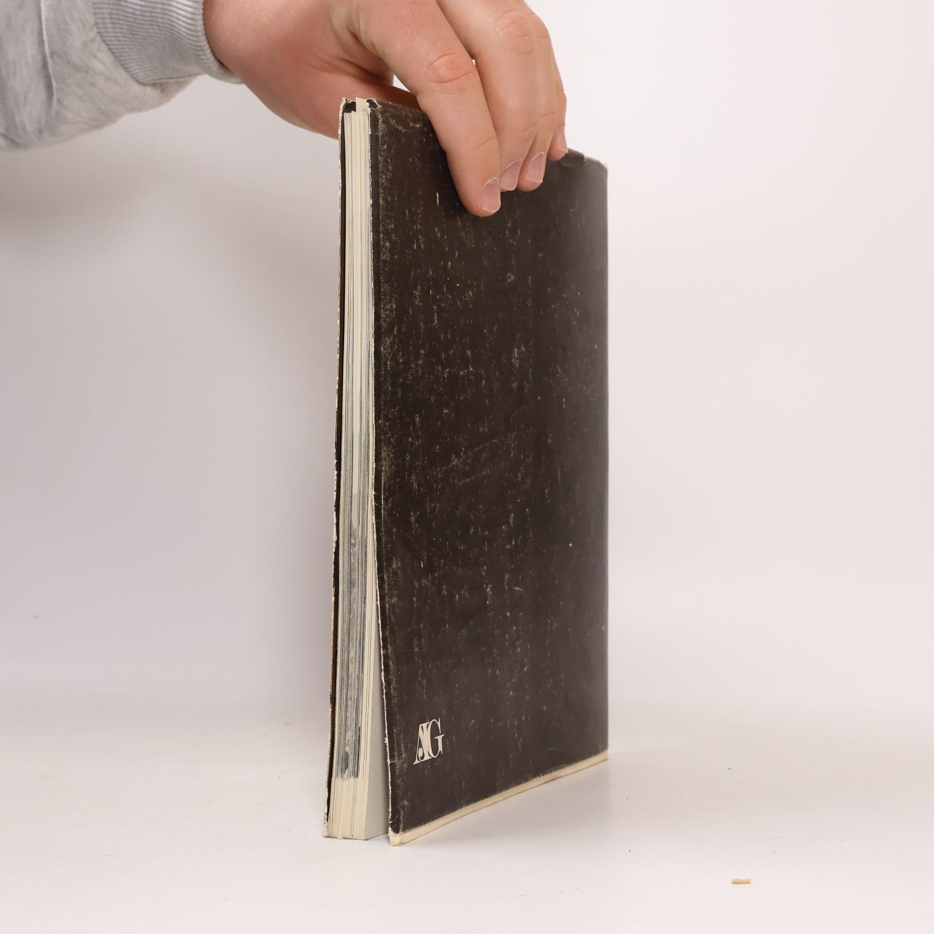 Autorenkollektiv České malířství a sochařství 1900-1980