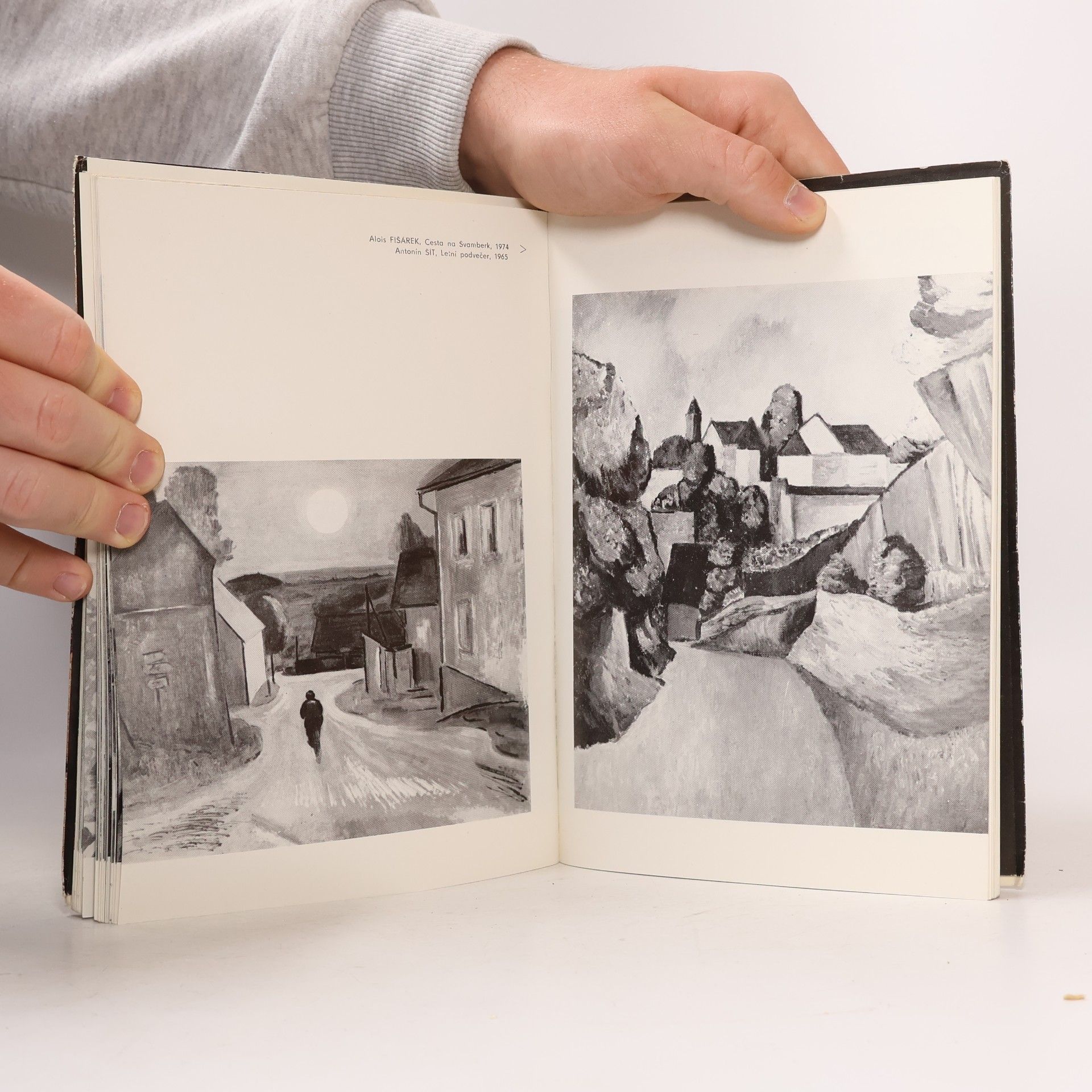 Autorenkollektiv České malířství a sochařství 1900-1980