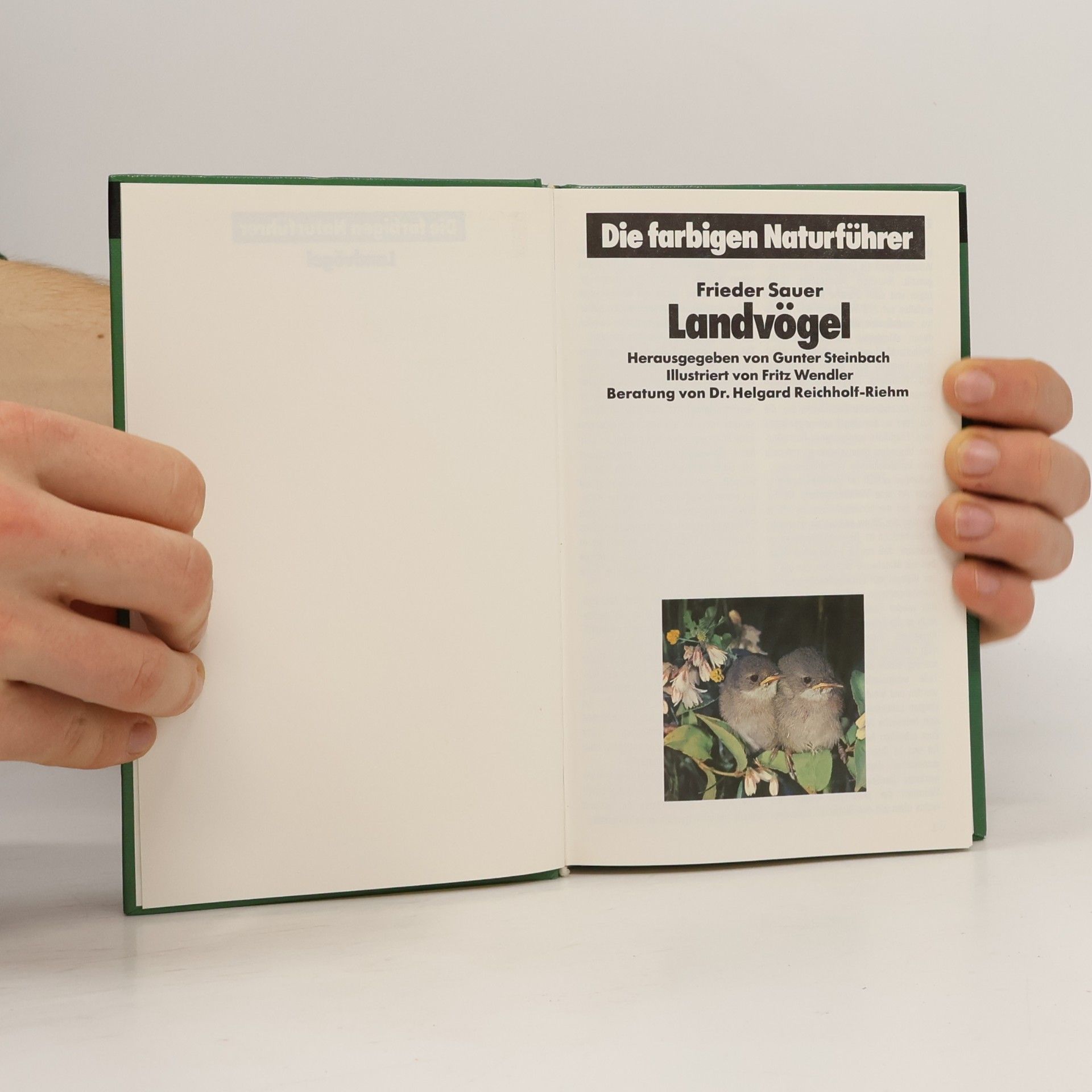 Gunter Steinbach Die farbigen Naturführer. Landvögel