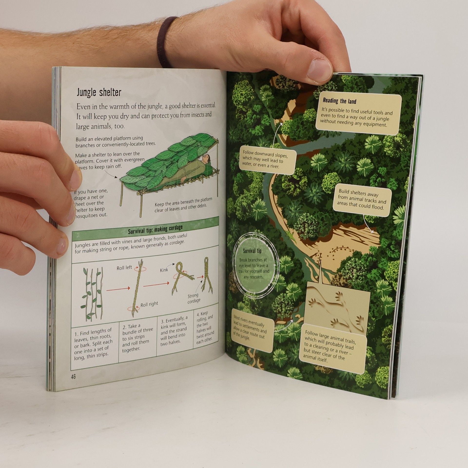 Henry Brook Survival