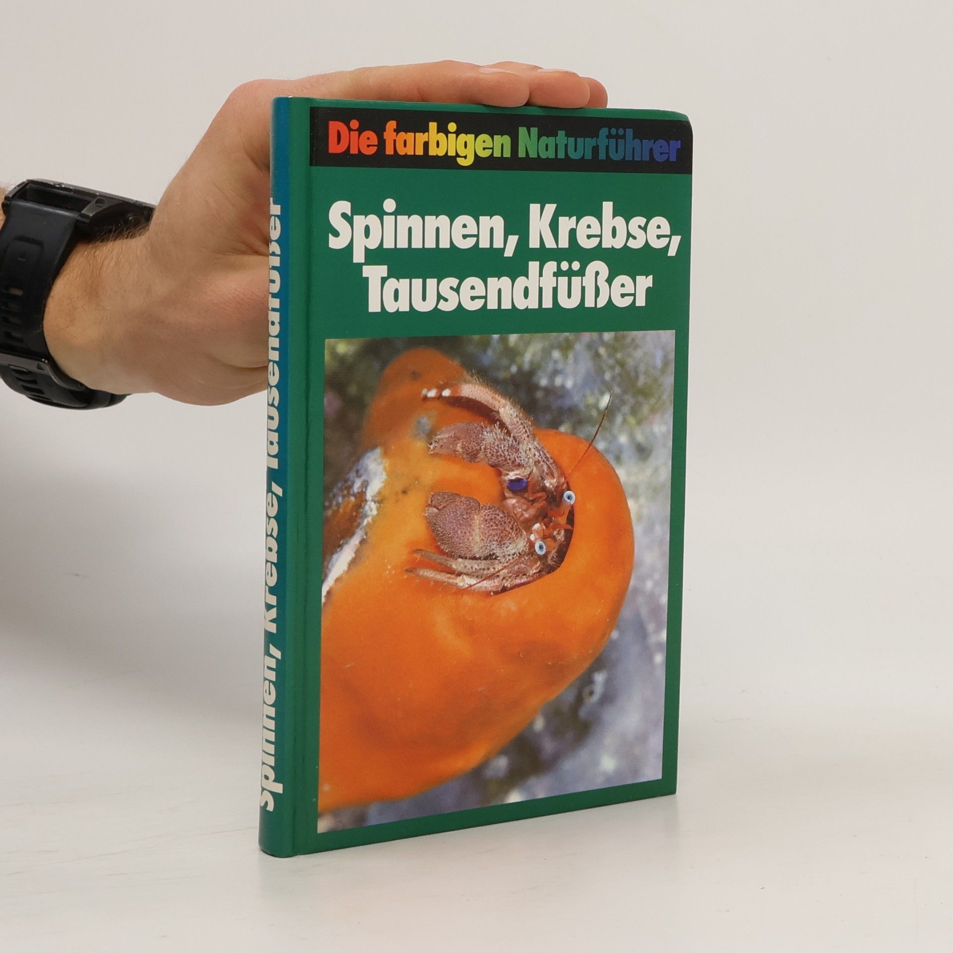 Autorenkollektiv Die farbigen Naturführer. Spinnen, Krebse, Tausendfüßer