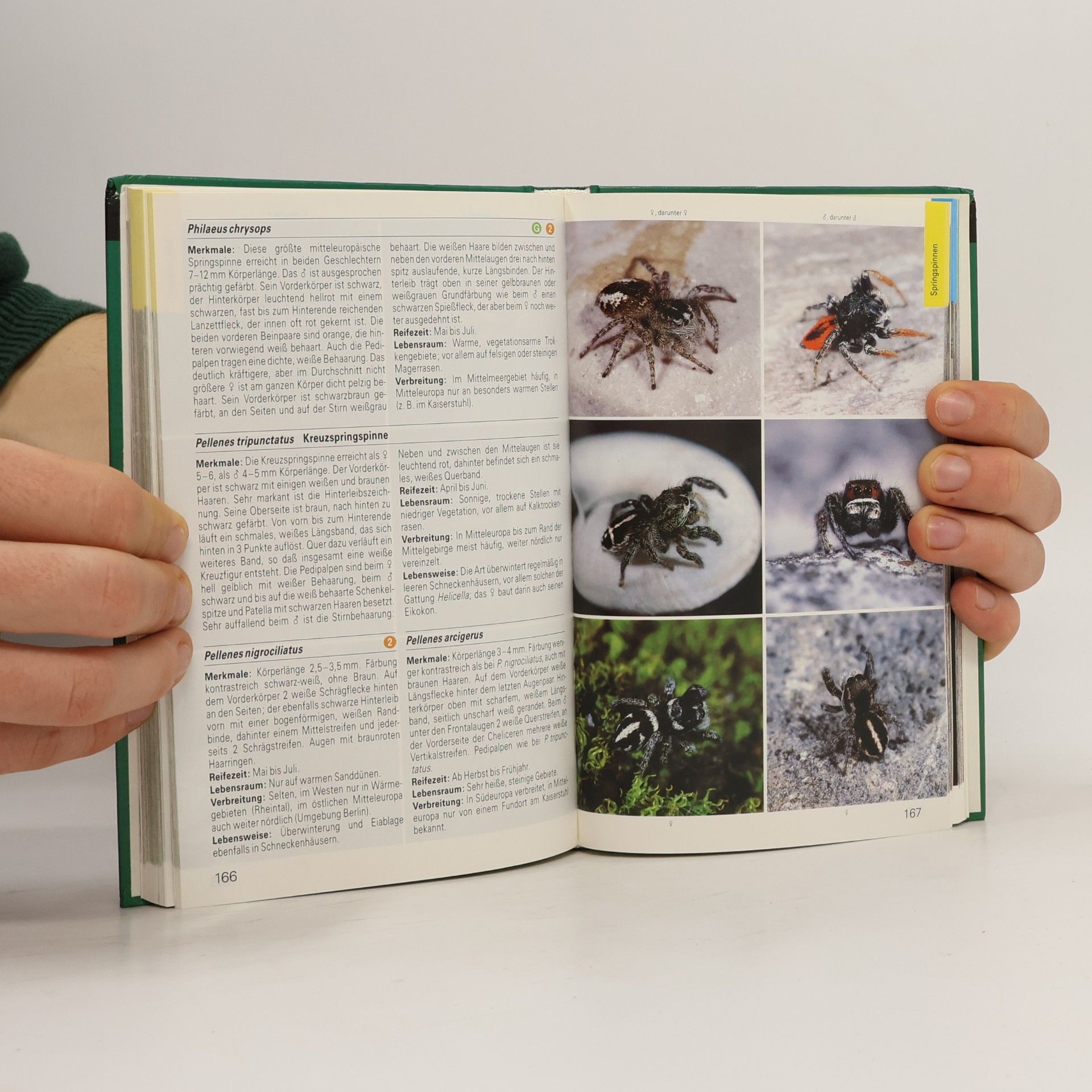 Kolektiv autorů Die farbigen Naturführer. Spinnen, Krebse, Tausendfüßer