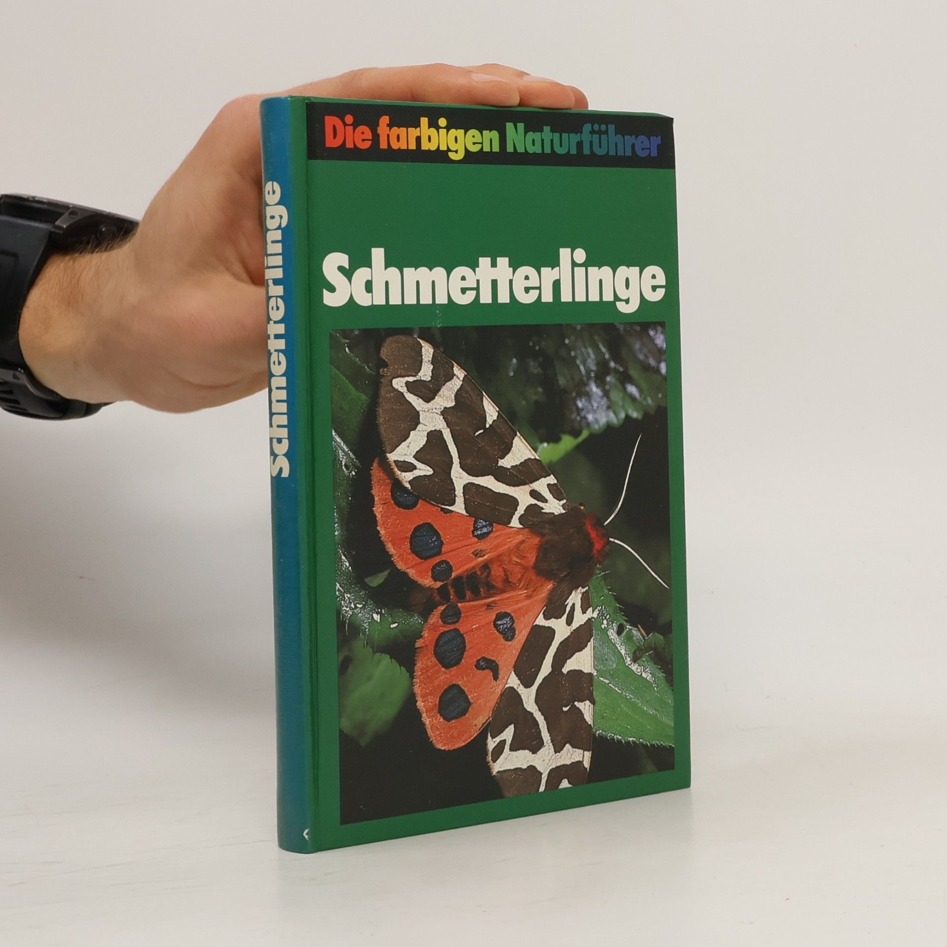 Autorenkollektiv Schmetterlinge