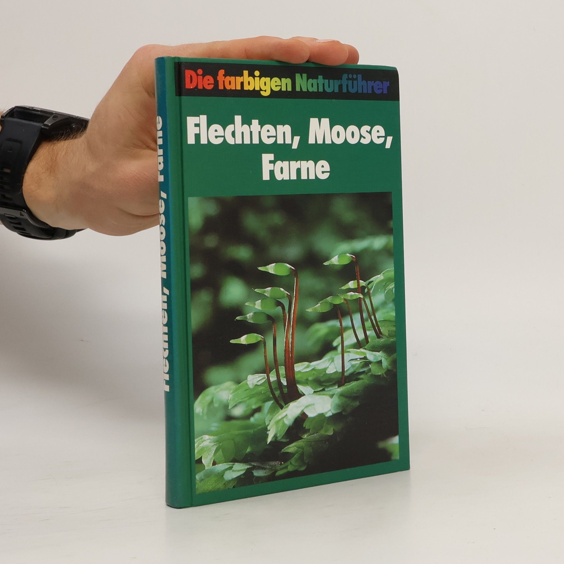 Autorenkollektiv Flechten, Moose, Farne