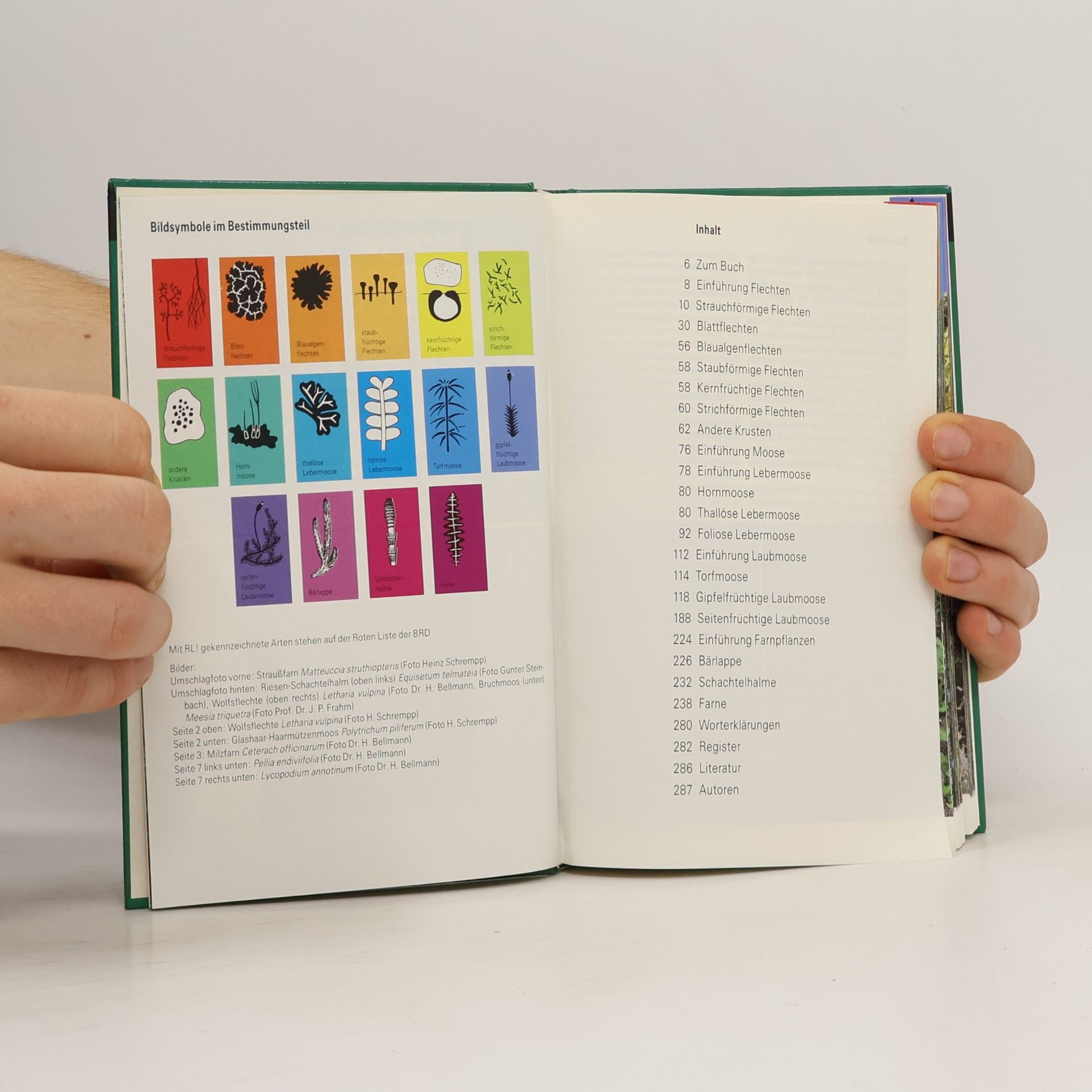 Autorenkollektiv Flechten, Moose, Farne