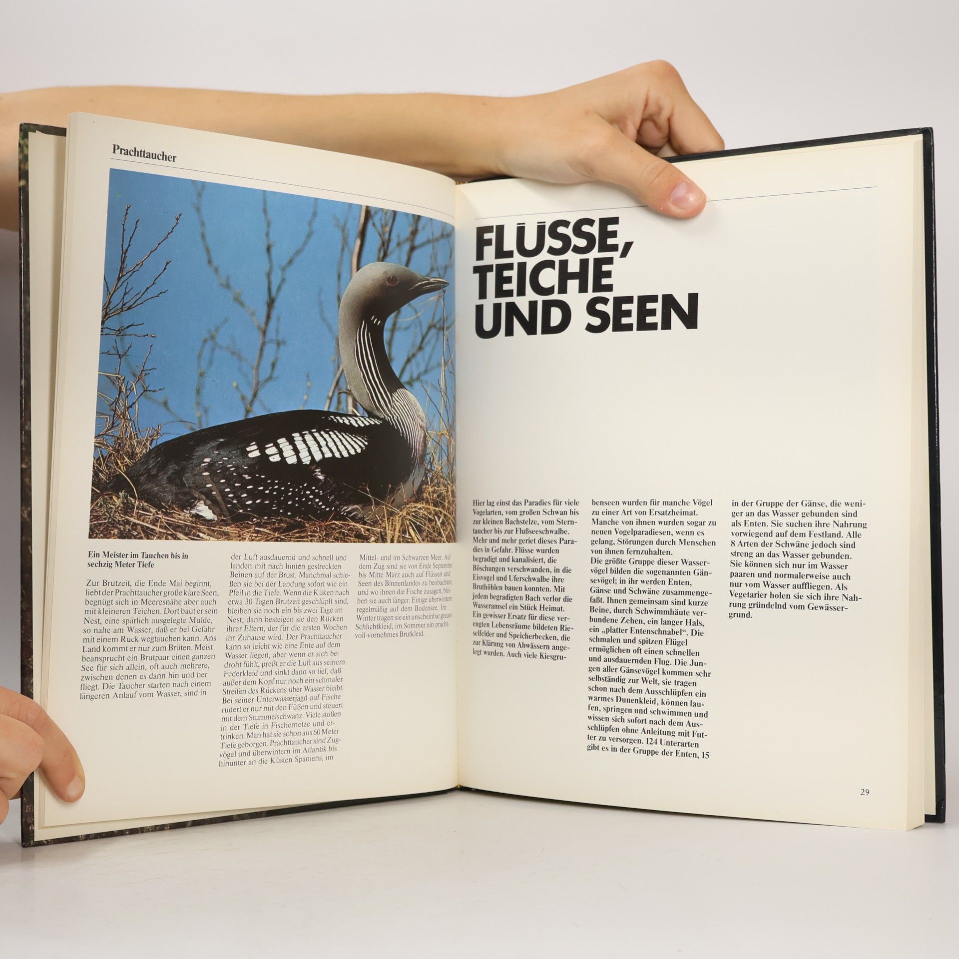 kolektiv Unsere Vogelwelt in Farbe