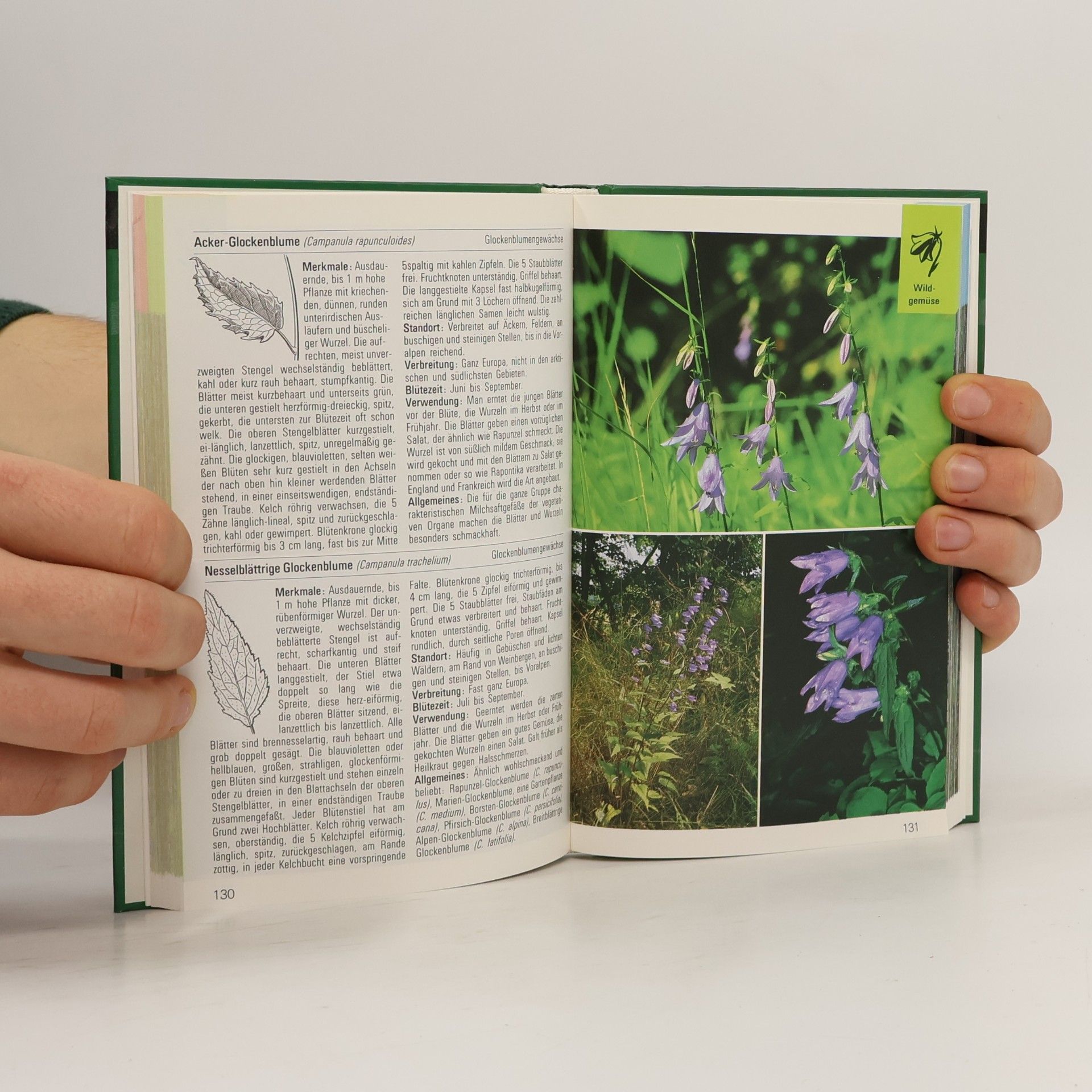 Various authors Beeren, Wildgemüse, Heilkräuter