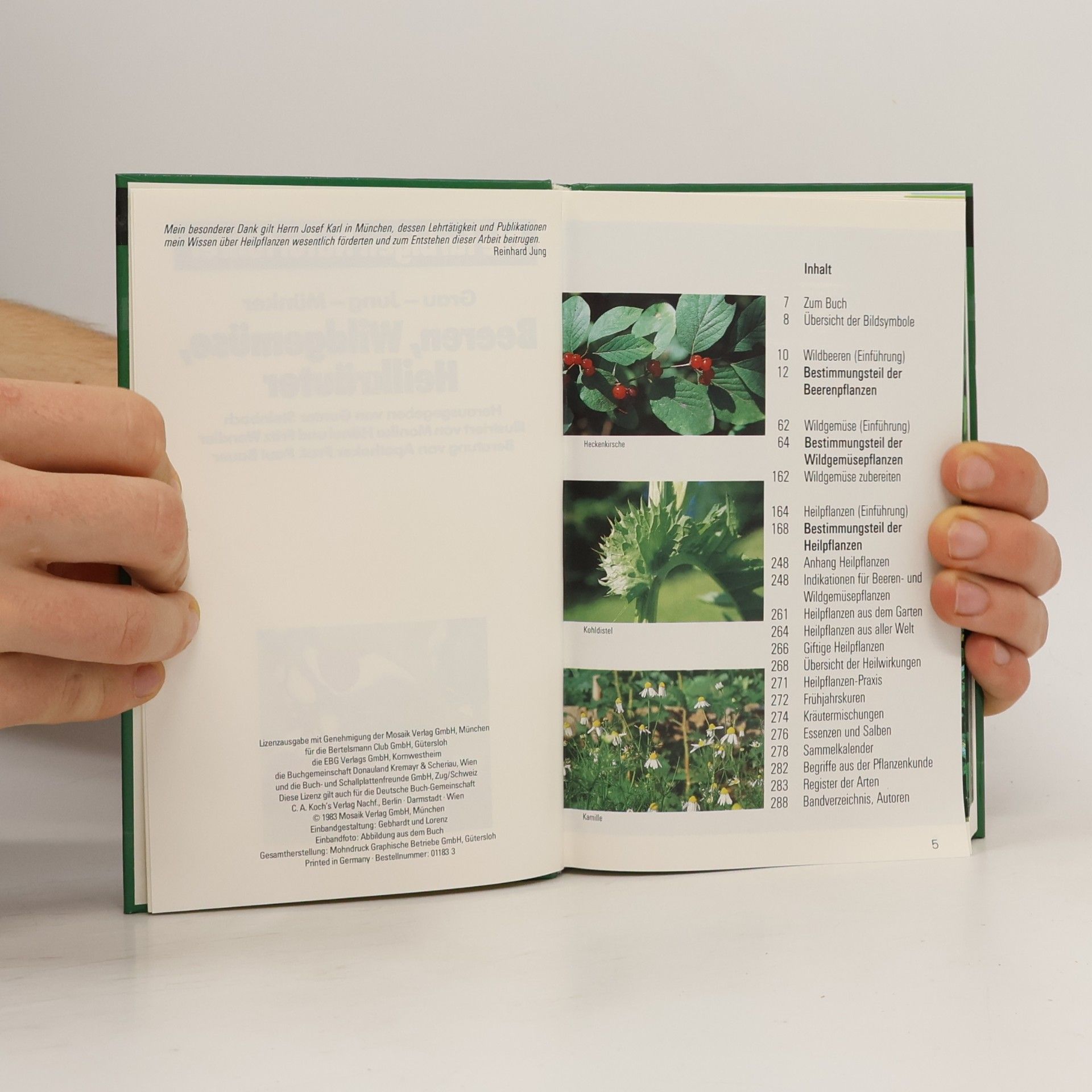 Various authors Beeren, Wildgemüse, Heilkräuter