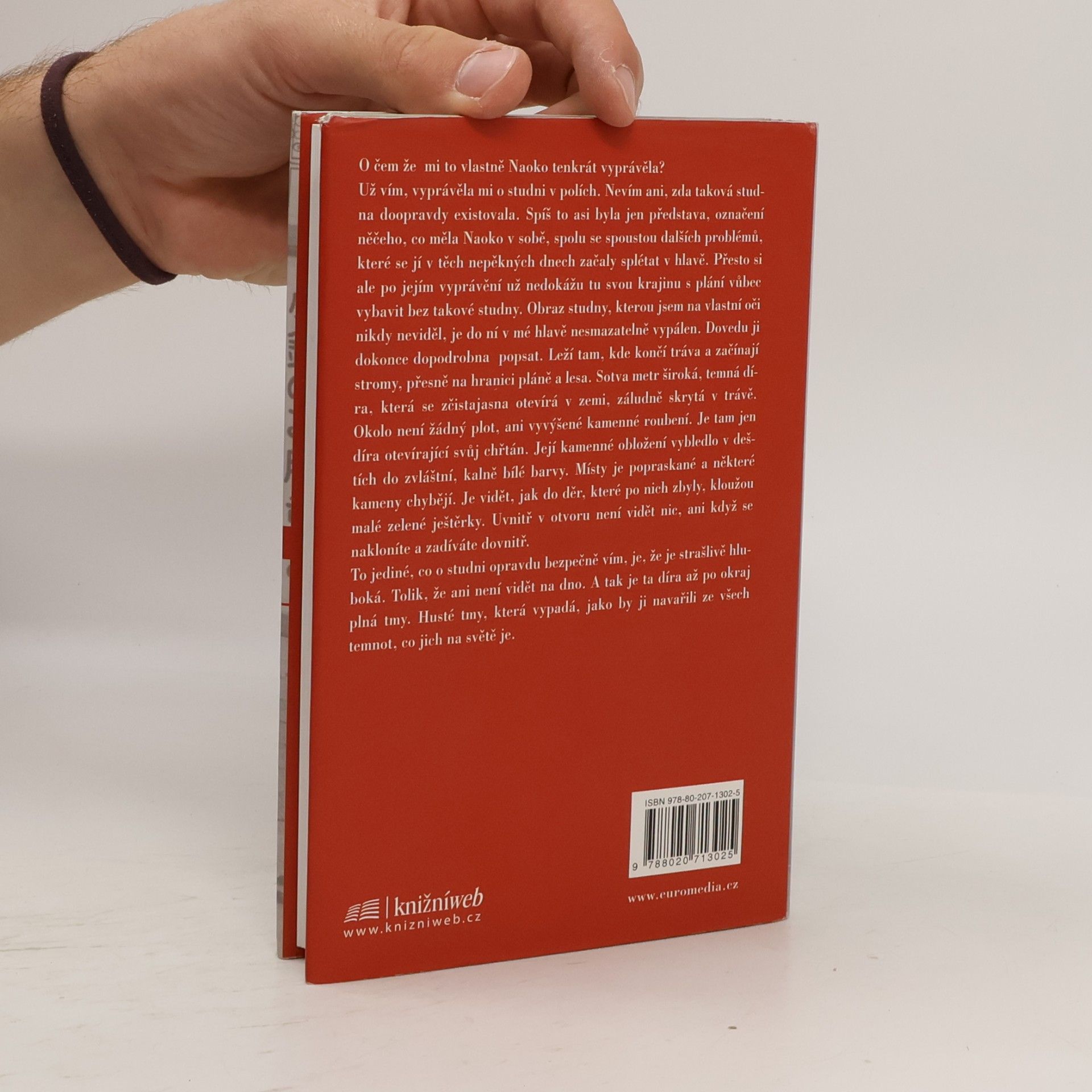 Haruki Murakami Norské dřevo