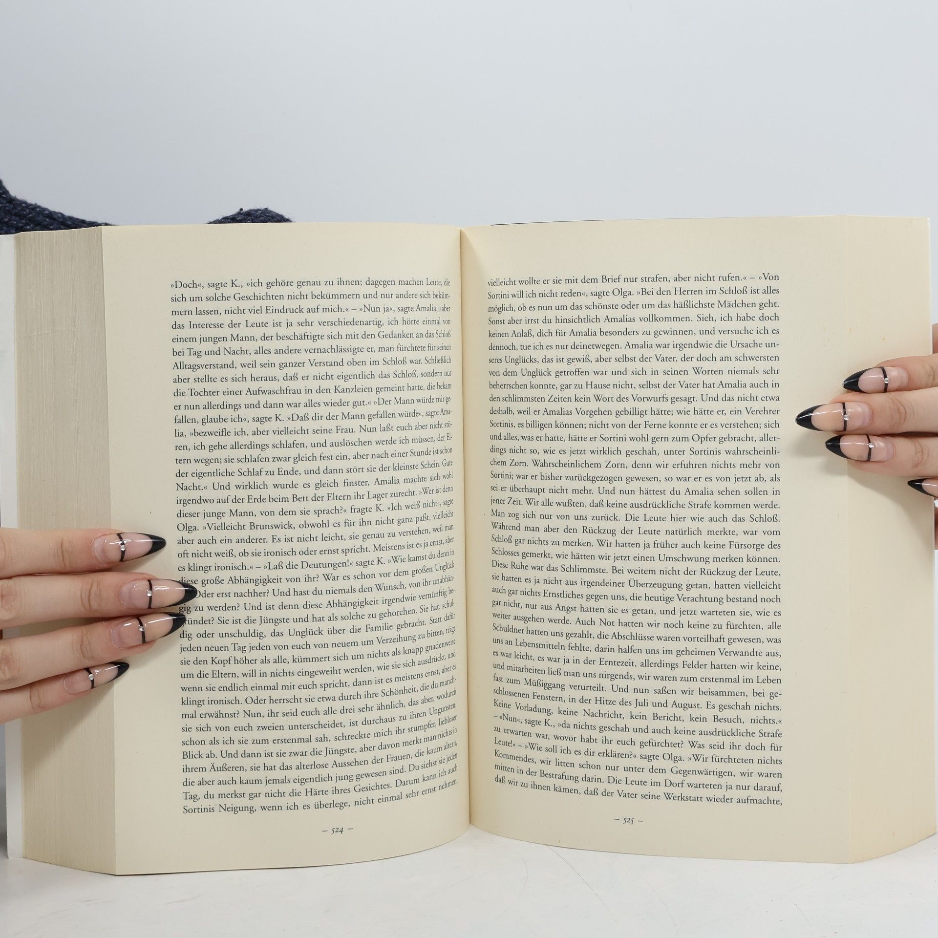 Franz Kafka Das Werk