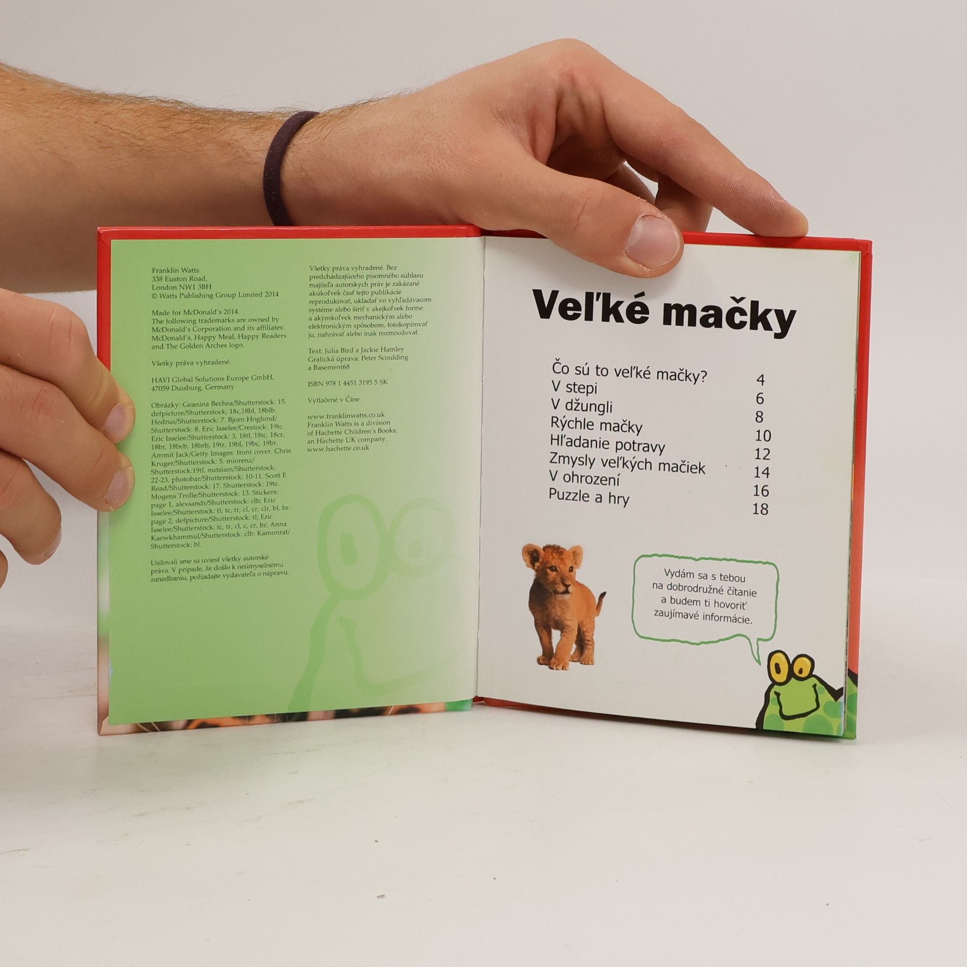 Autorenkollektiv Veľké mačky