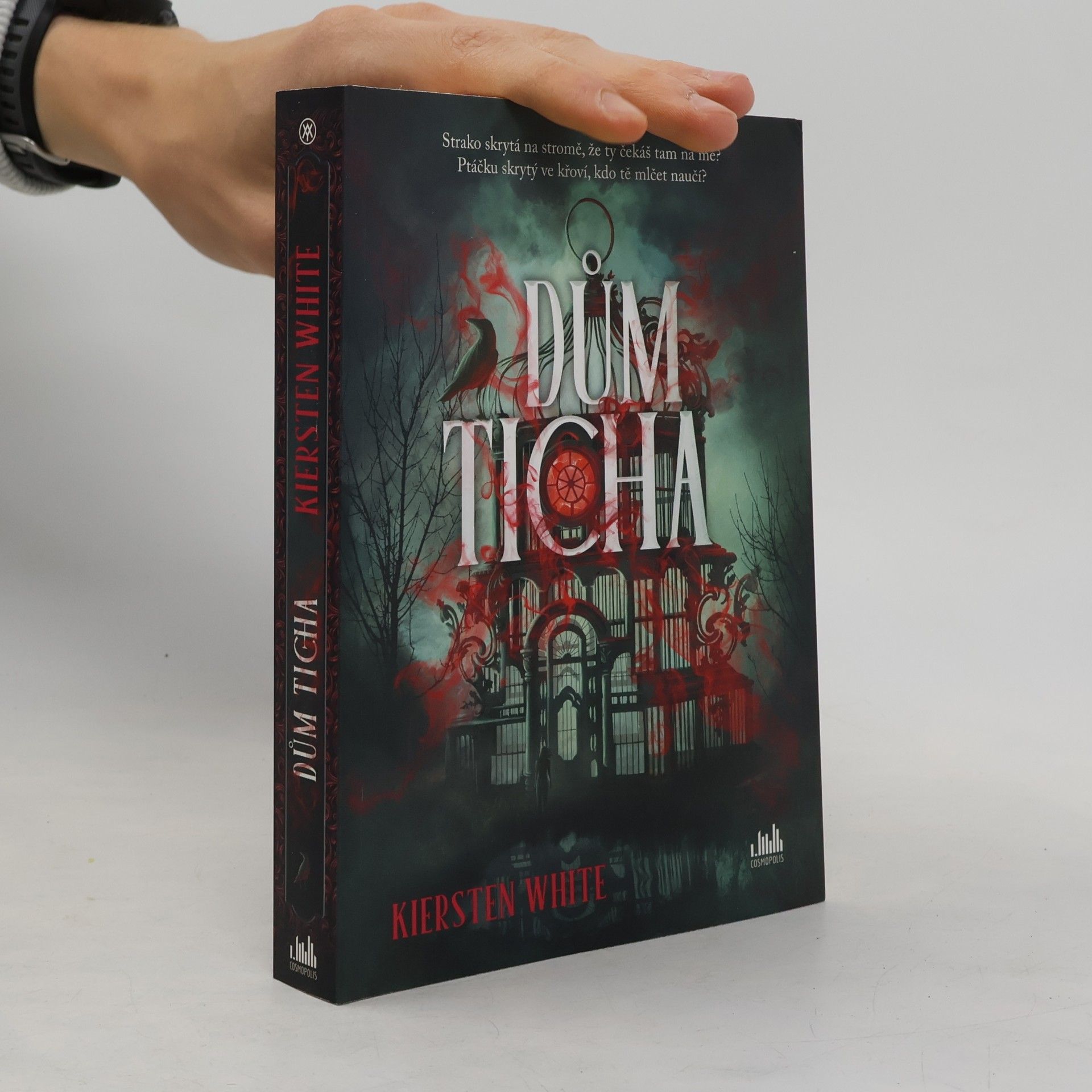 Kiersten White Dům ticha
