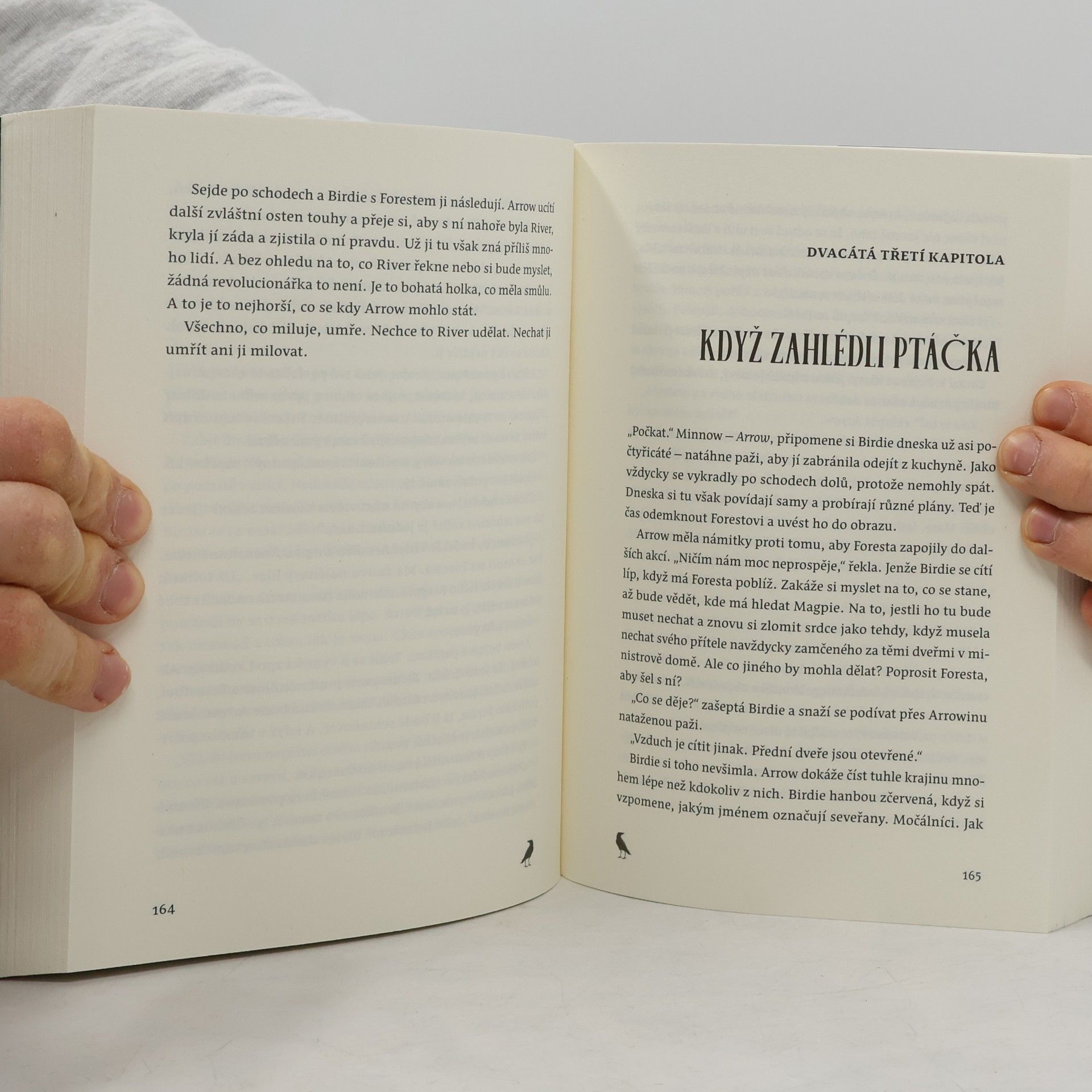 Kiersten White Dům ticha