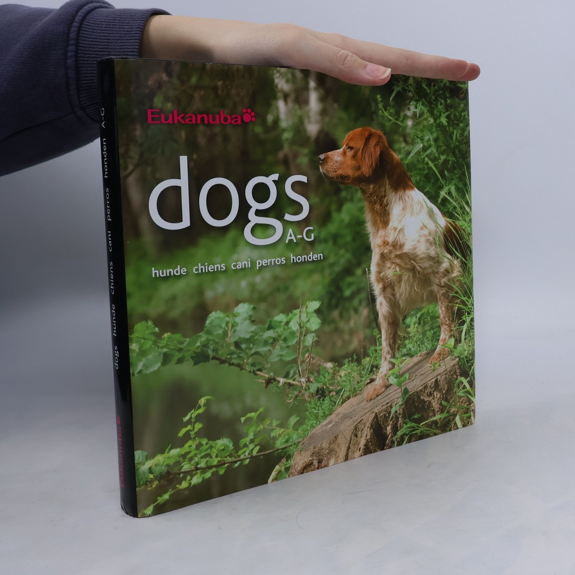 Autorenkollektiv Dogs A-G: hunde chiens cani perros honde