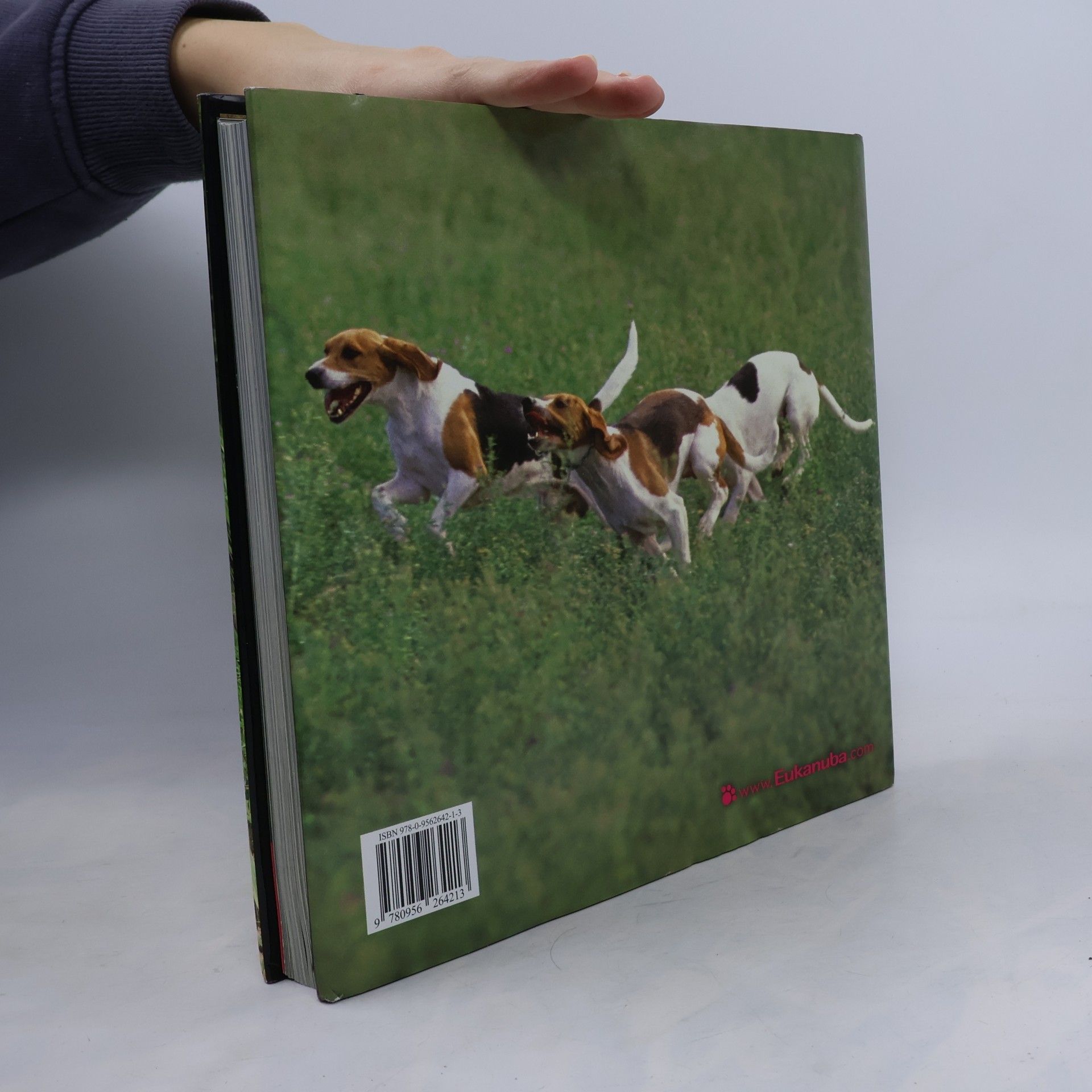 Kolektiv autorů Dogs A-G: hunde chiens cani perros honde