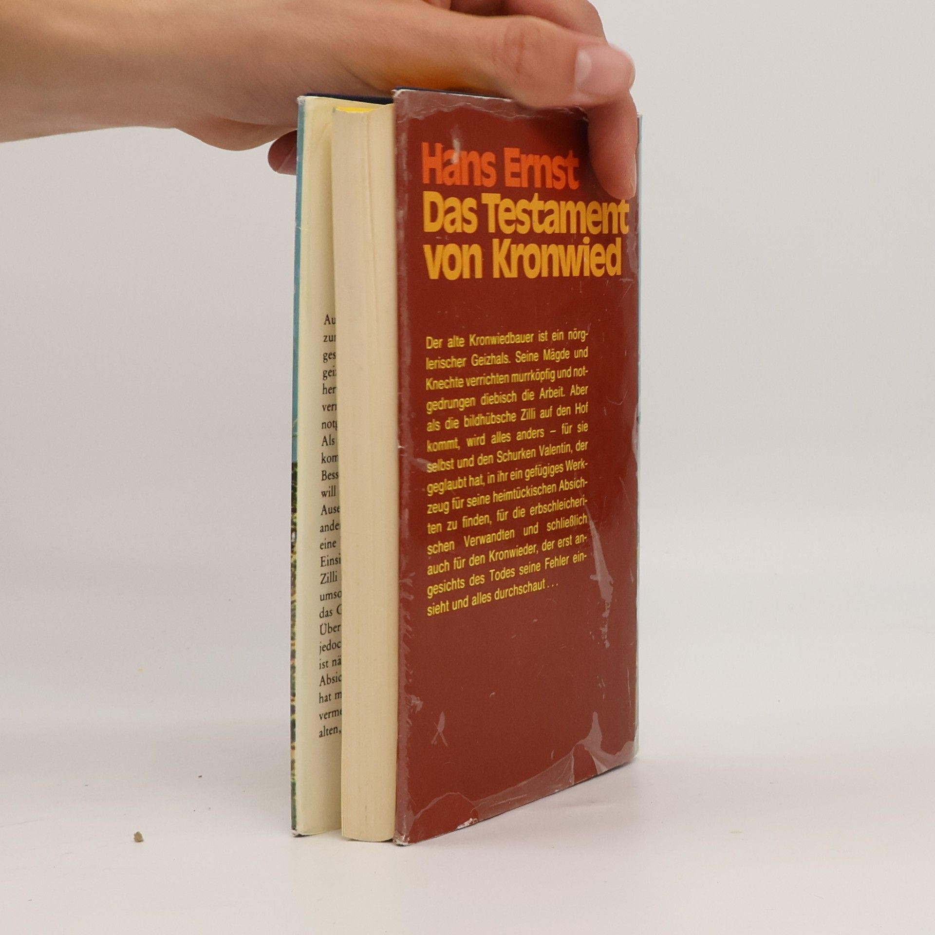 Hans-Ernst Schwiete Das Testament von Kronwied
