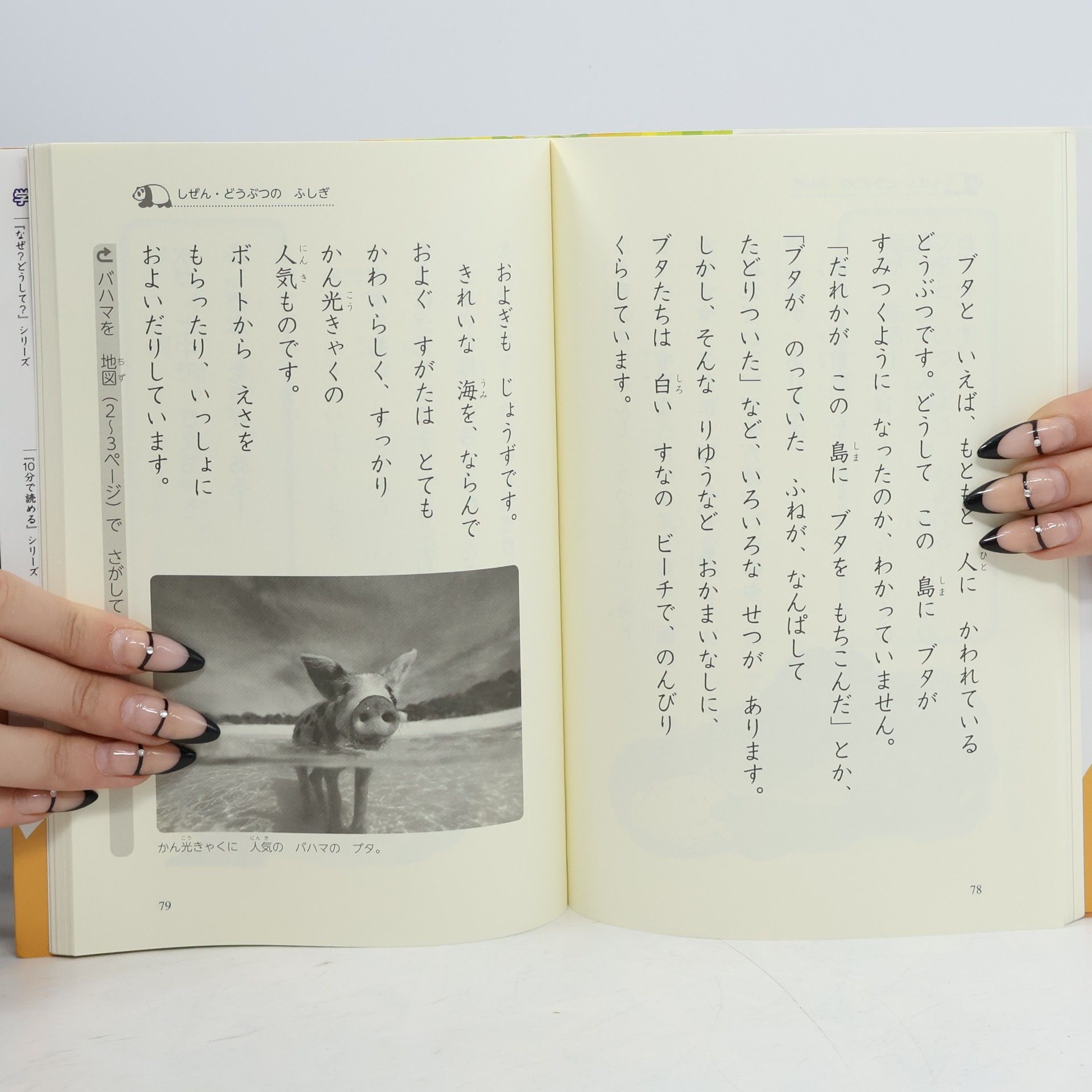 Junko Kado なぜ?どうして?せかいはふしぎ 2年生