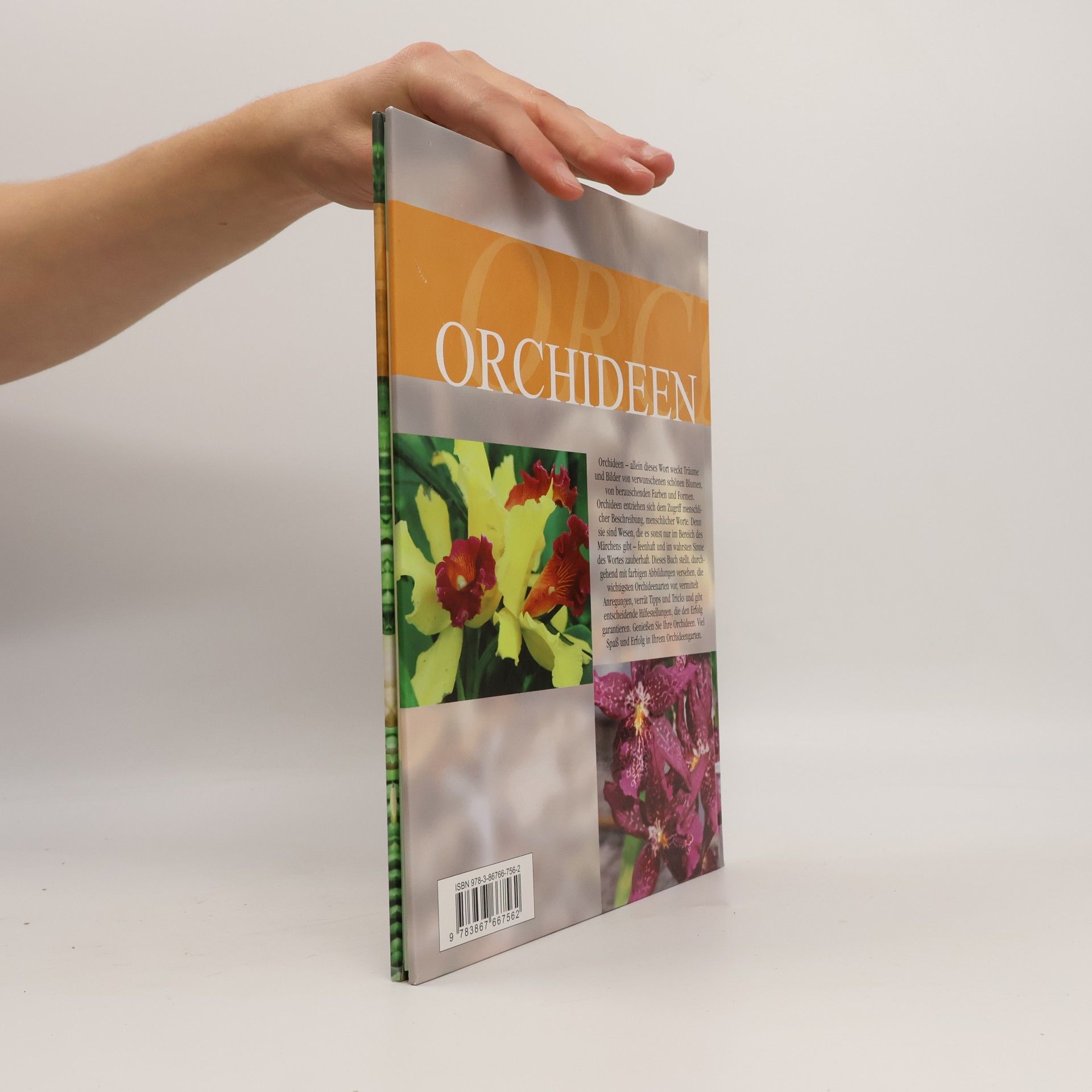 Autorenkollektiv Orchideen