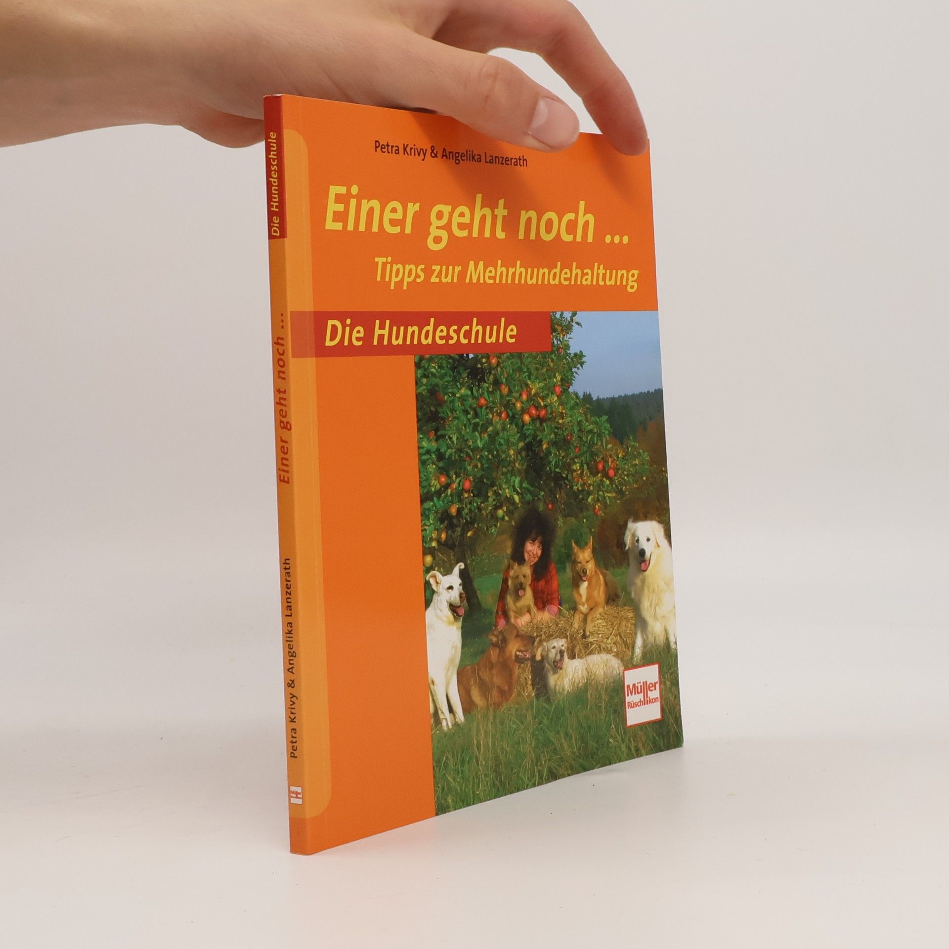 Petra Krivy Einer geht noch ...