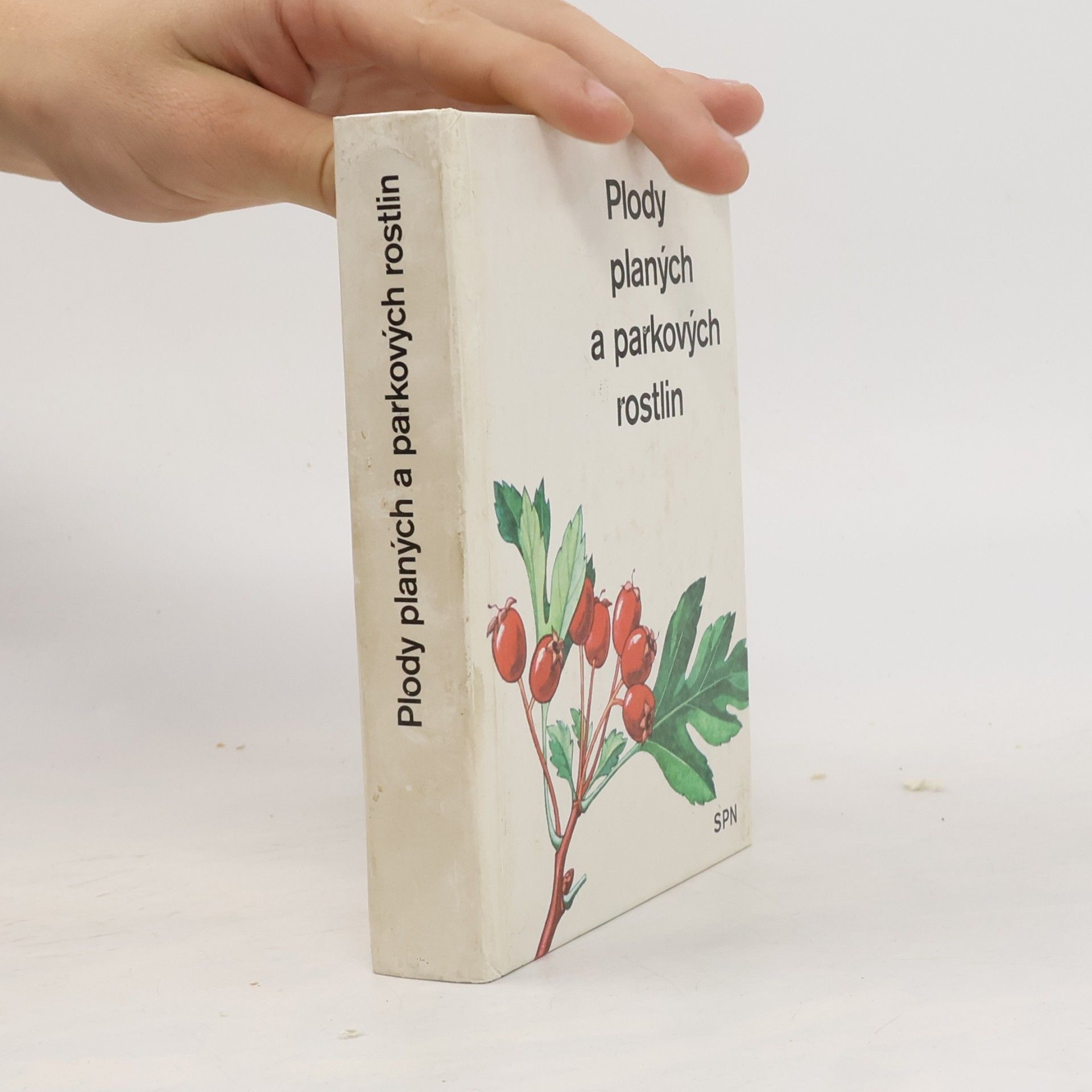 Přemysl Vanke Plody planých a parkových rostlin. Kapesní atlas