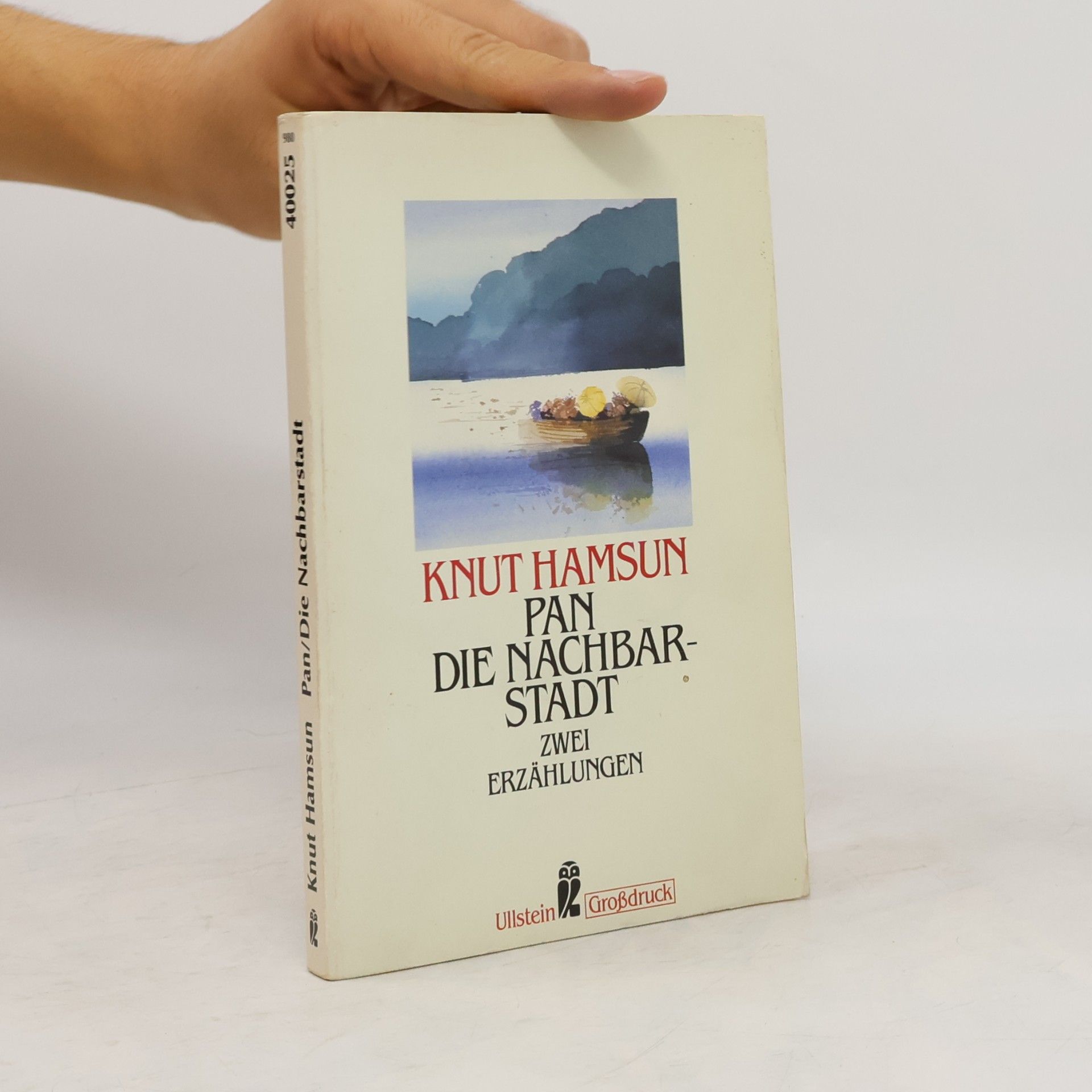 Knut Hamsun Pan; Die Nachbarstadt, Großdr.. Zwei Erzählungen