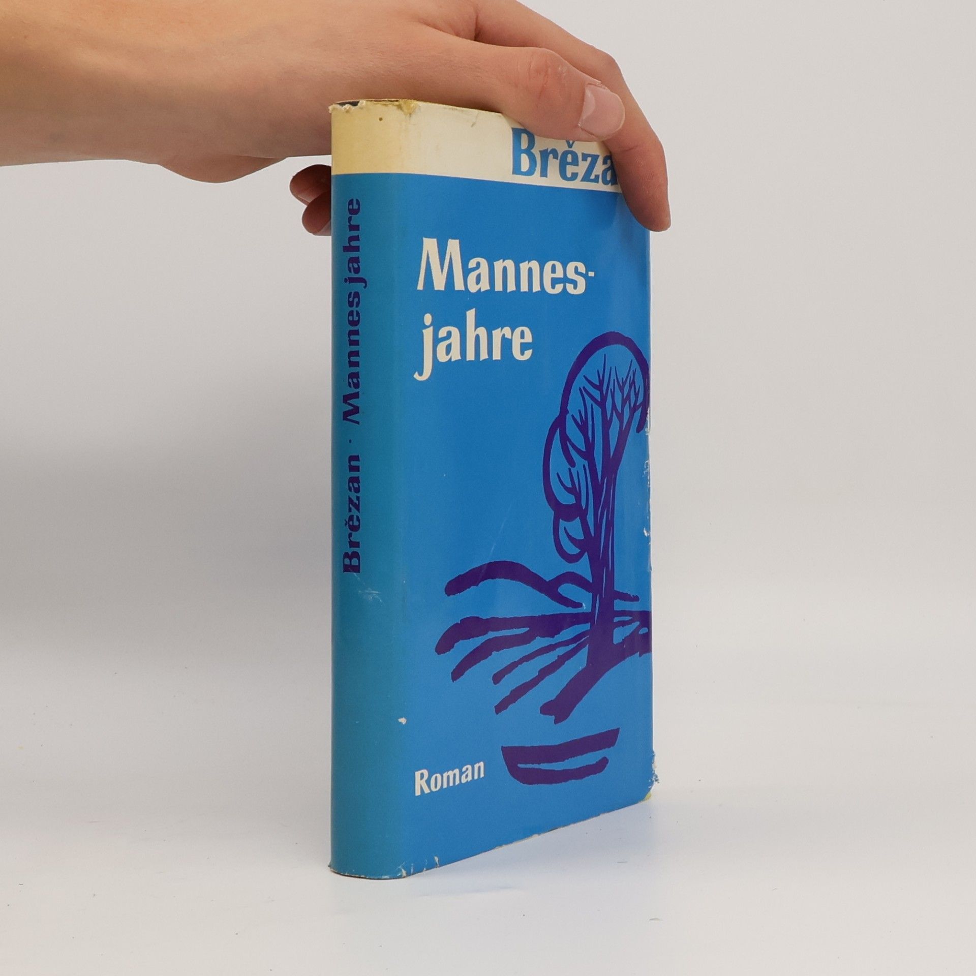 Jurij Brězan Mannesjahre