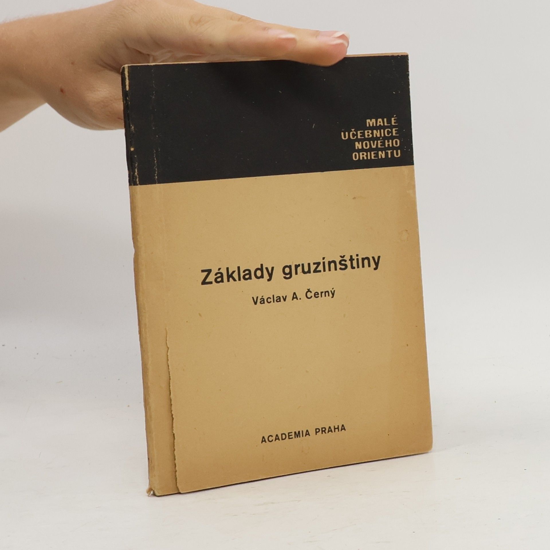 Základy gruzínštiny
