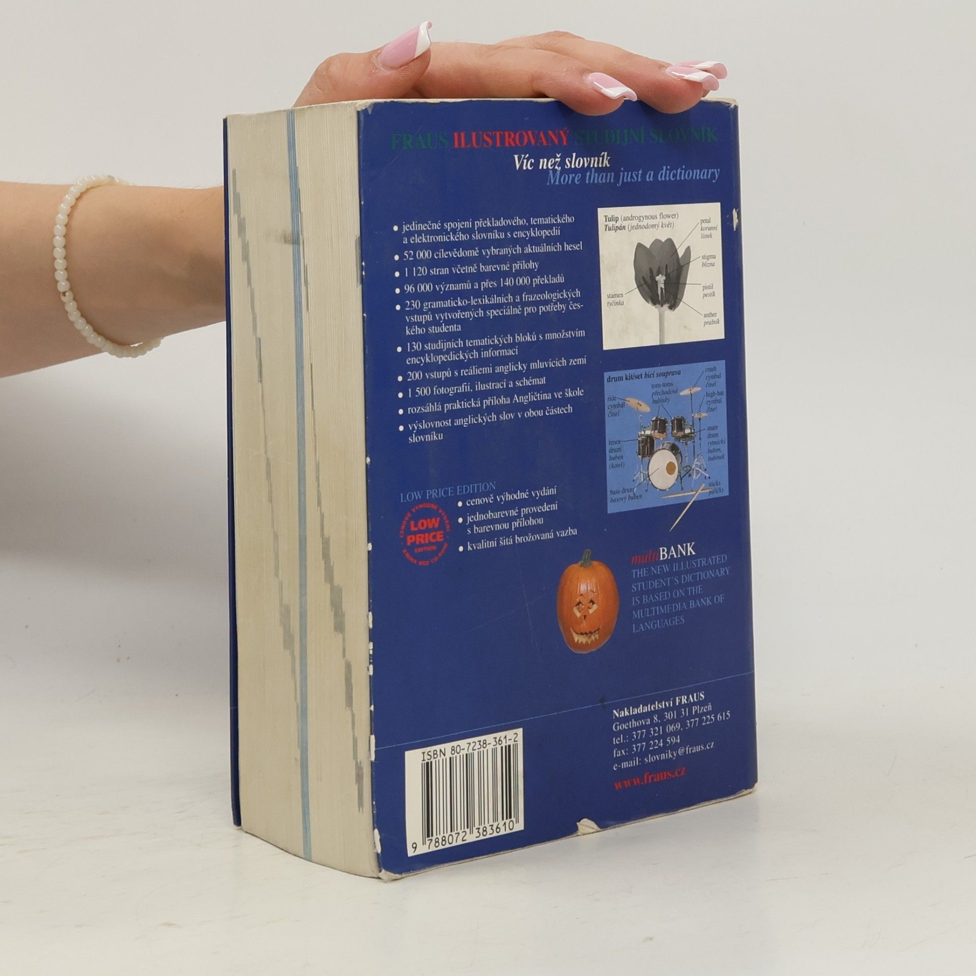 Autorenkollektiv Ilustrovaný studijní slovník anglicko-český, česko-anglický