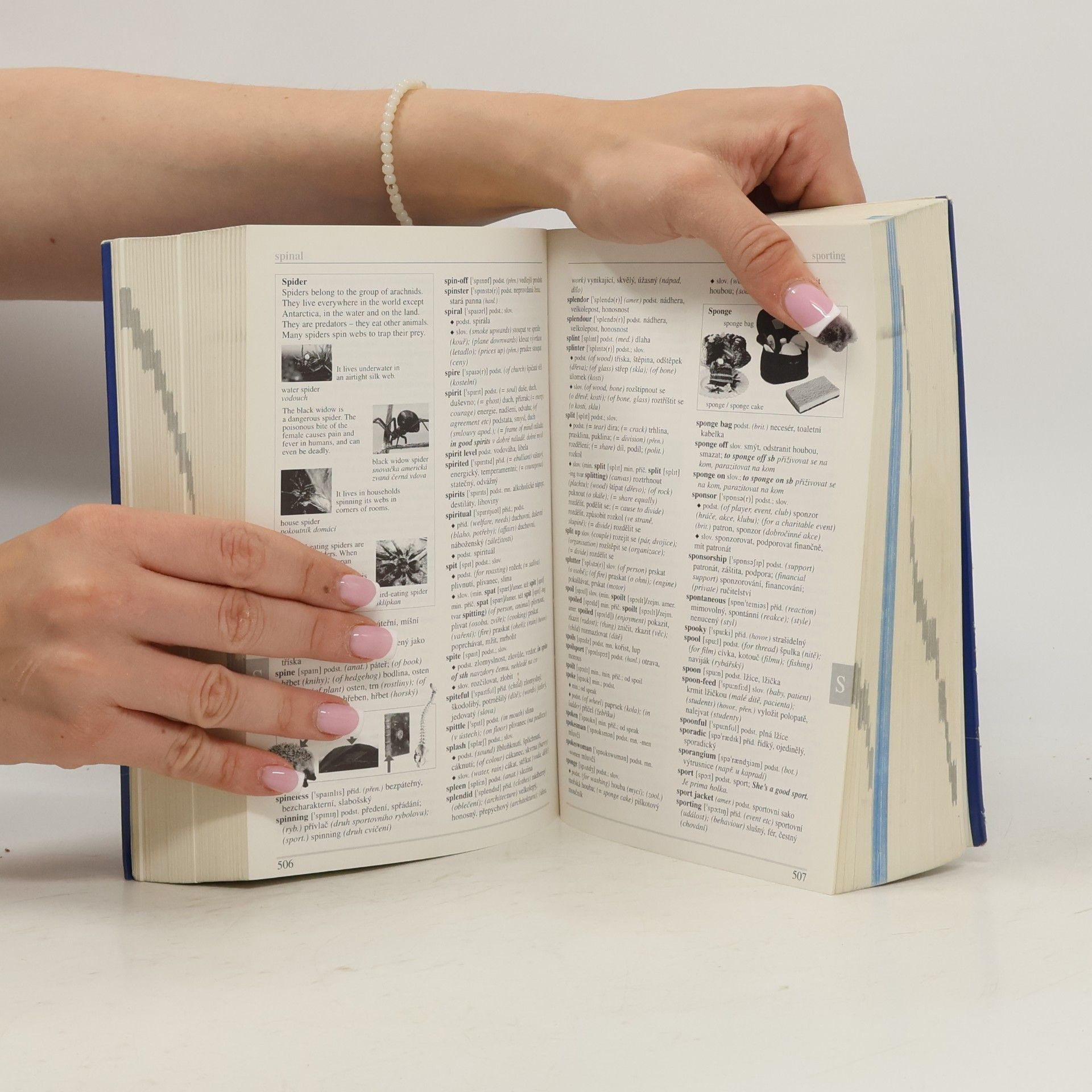 Autorenkollektiv Ilustrovaný studijní slovník anglicko-český, česko-anglický