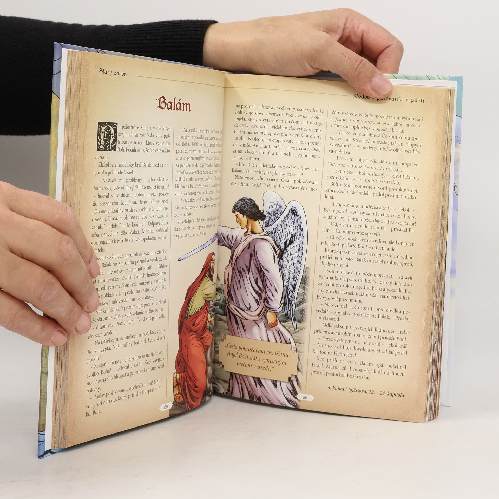 Emese Sipson Obrázková rodinná Biblia