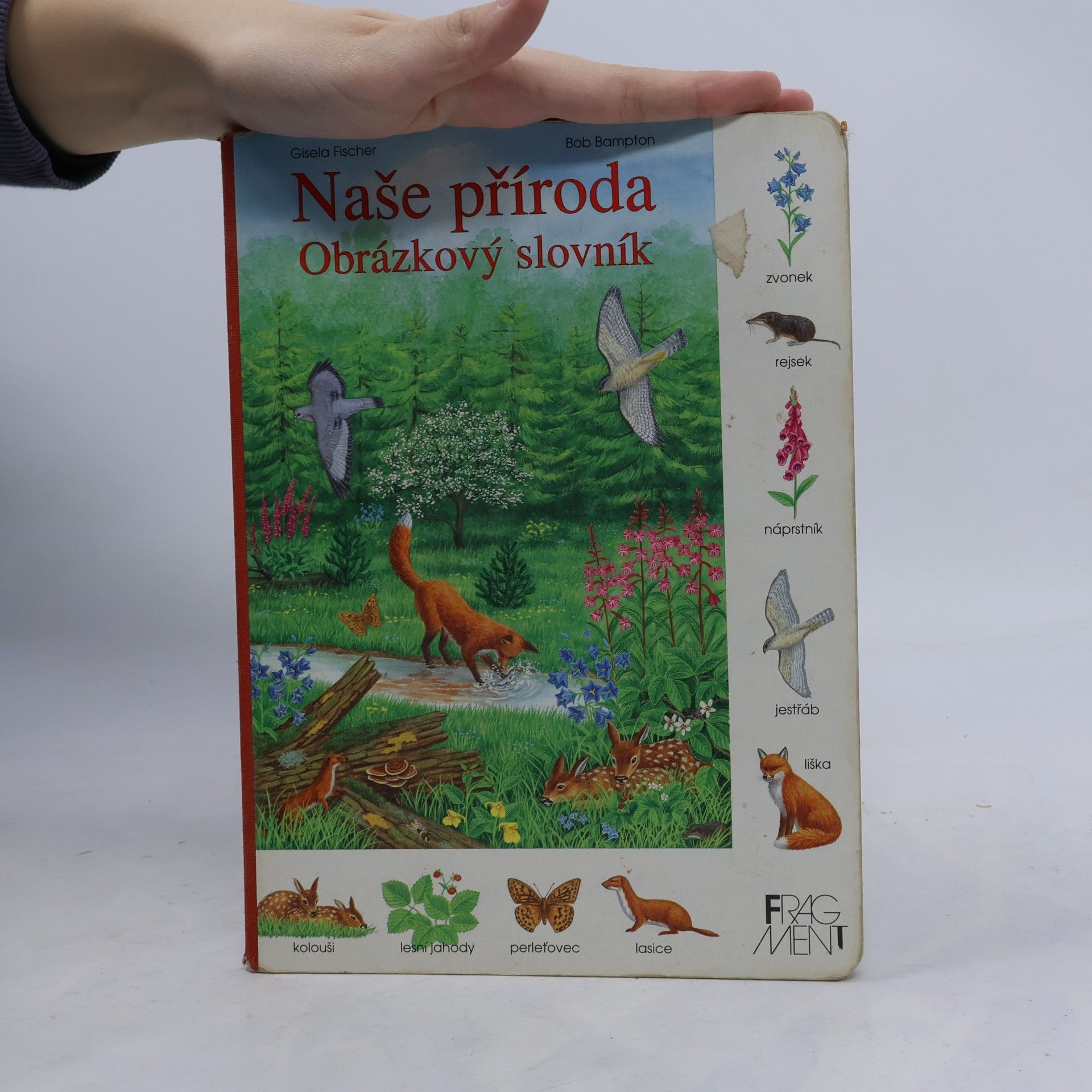 Gisela Fischer-Lingat Naše příroda: Obrázkový slovník