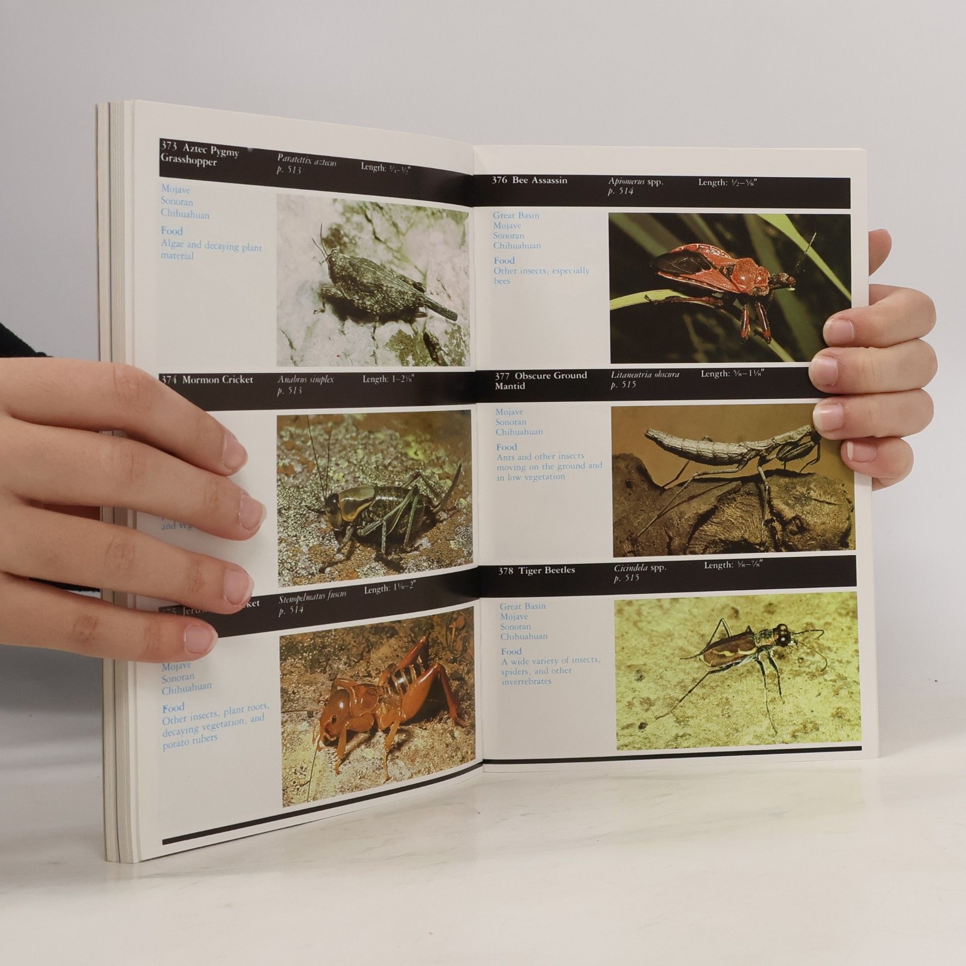 James A. MacMahon The Audubon Society Nature Guides: Deserts
