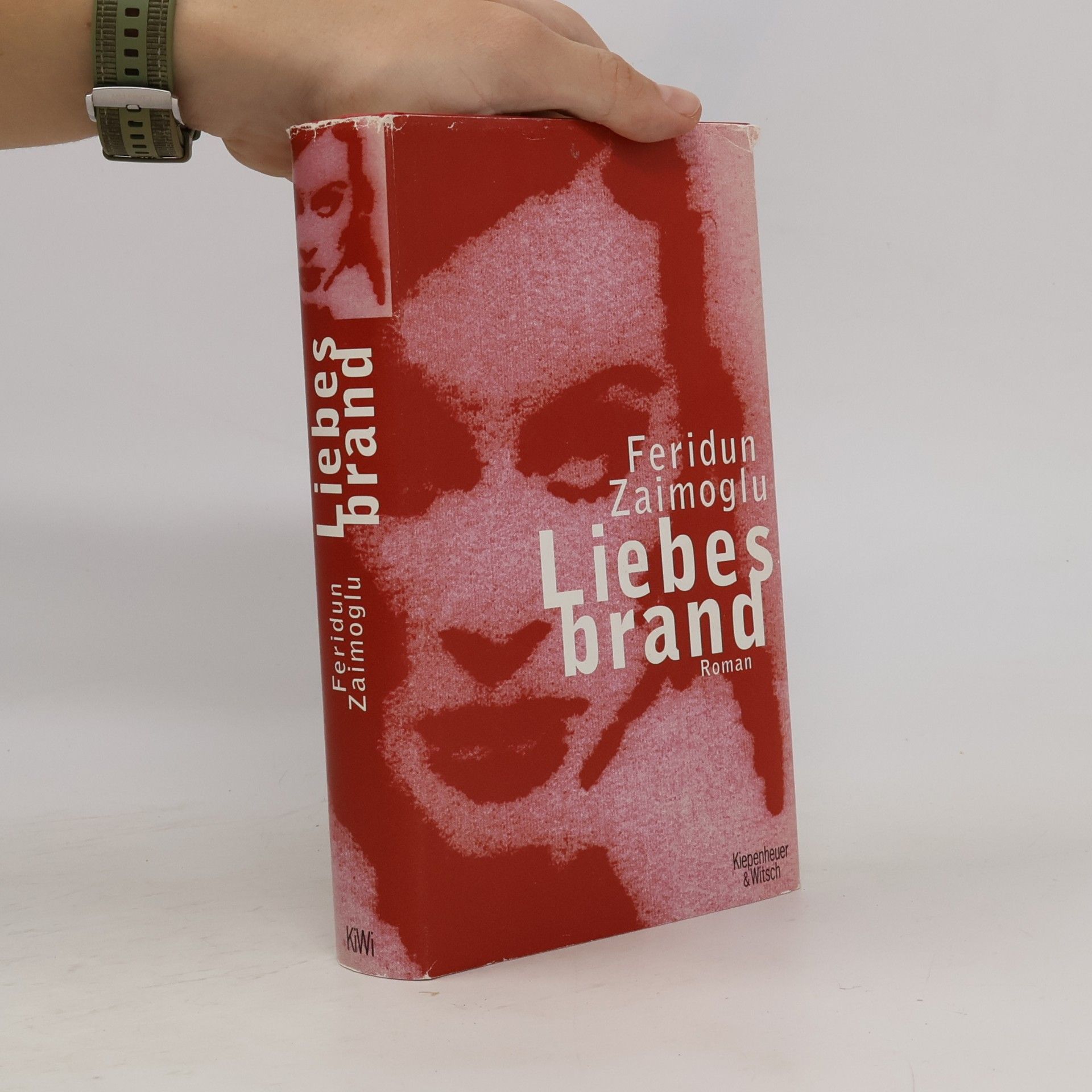 Feridun Zaimoğlu Liebesbrand