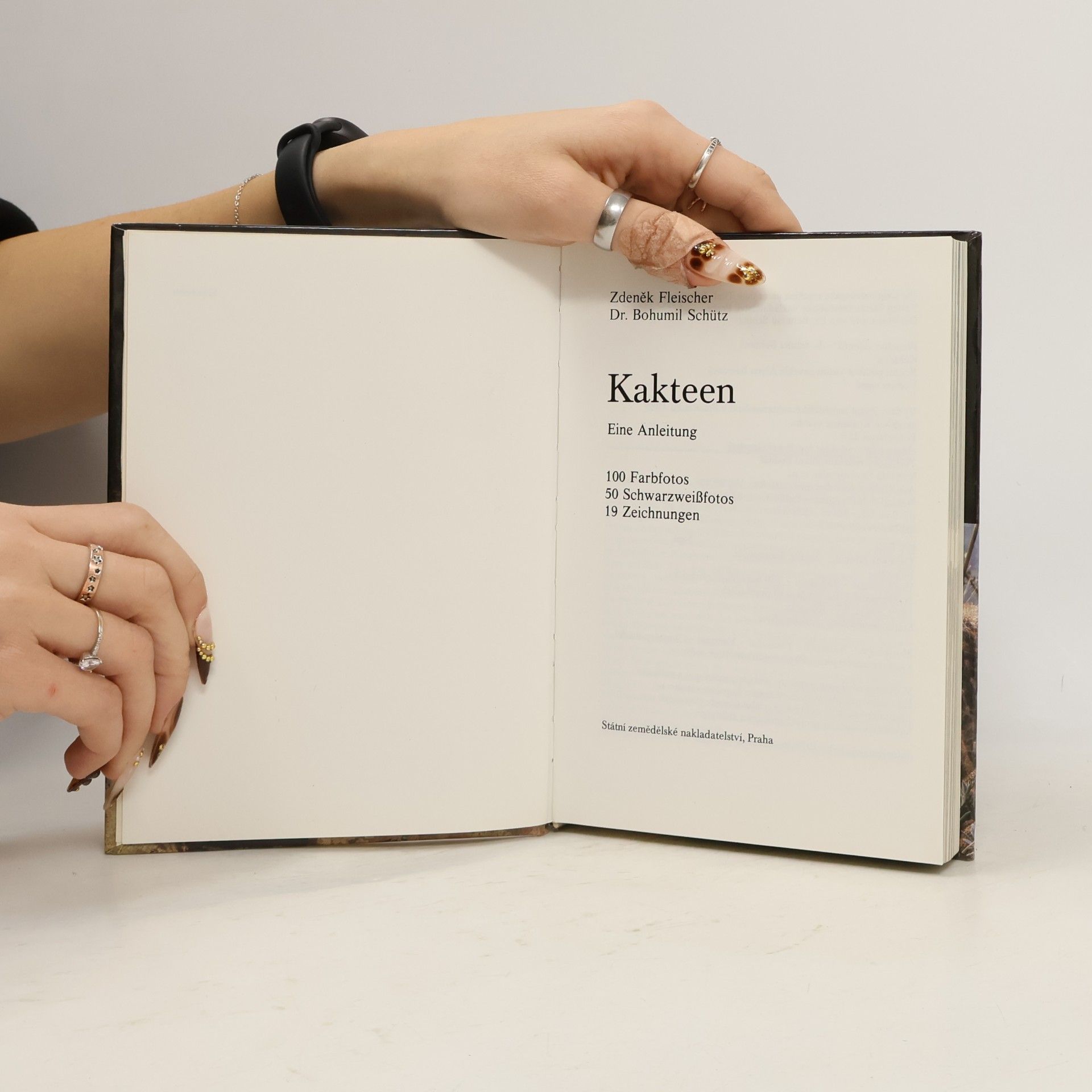 E. Haustein Kakteen