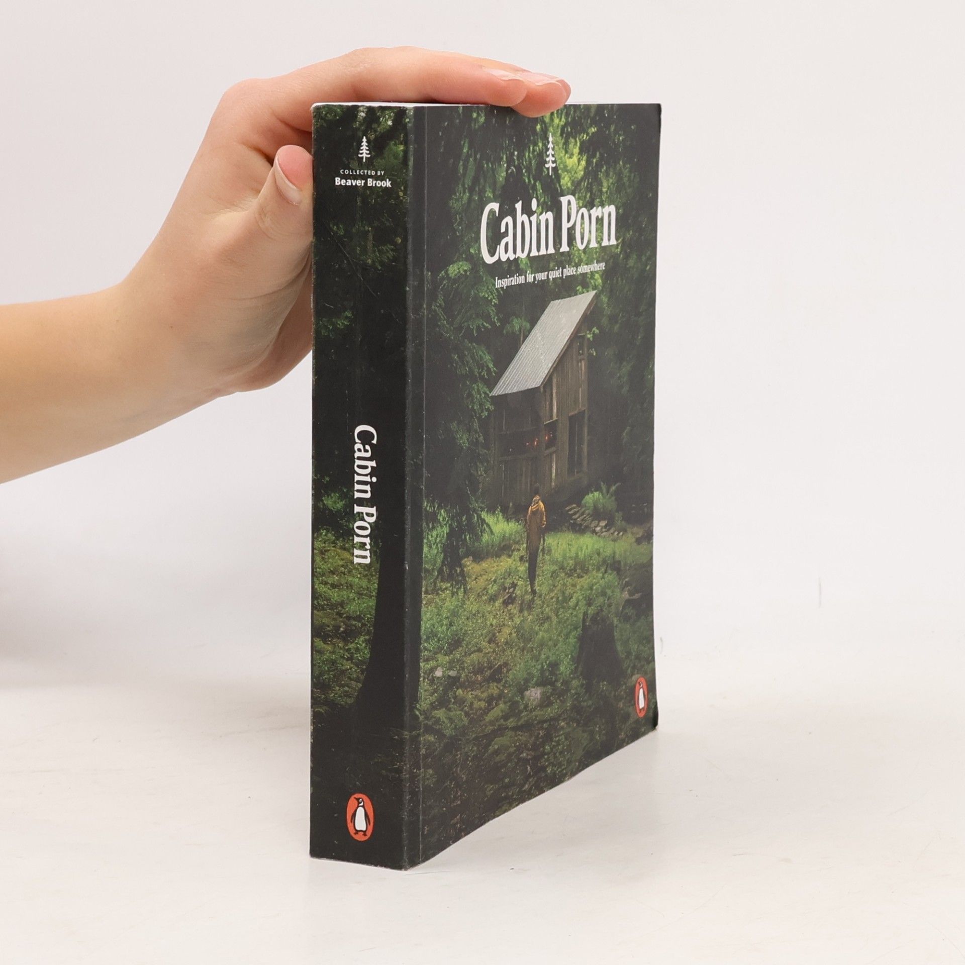 Zach Klein Cabin Porn