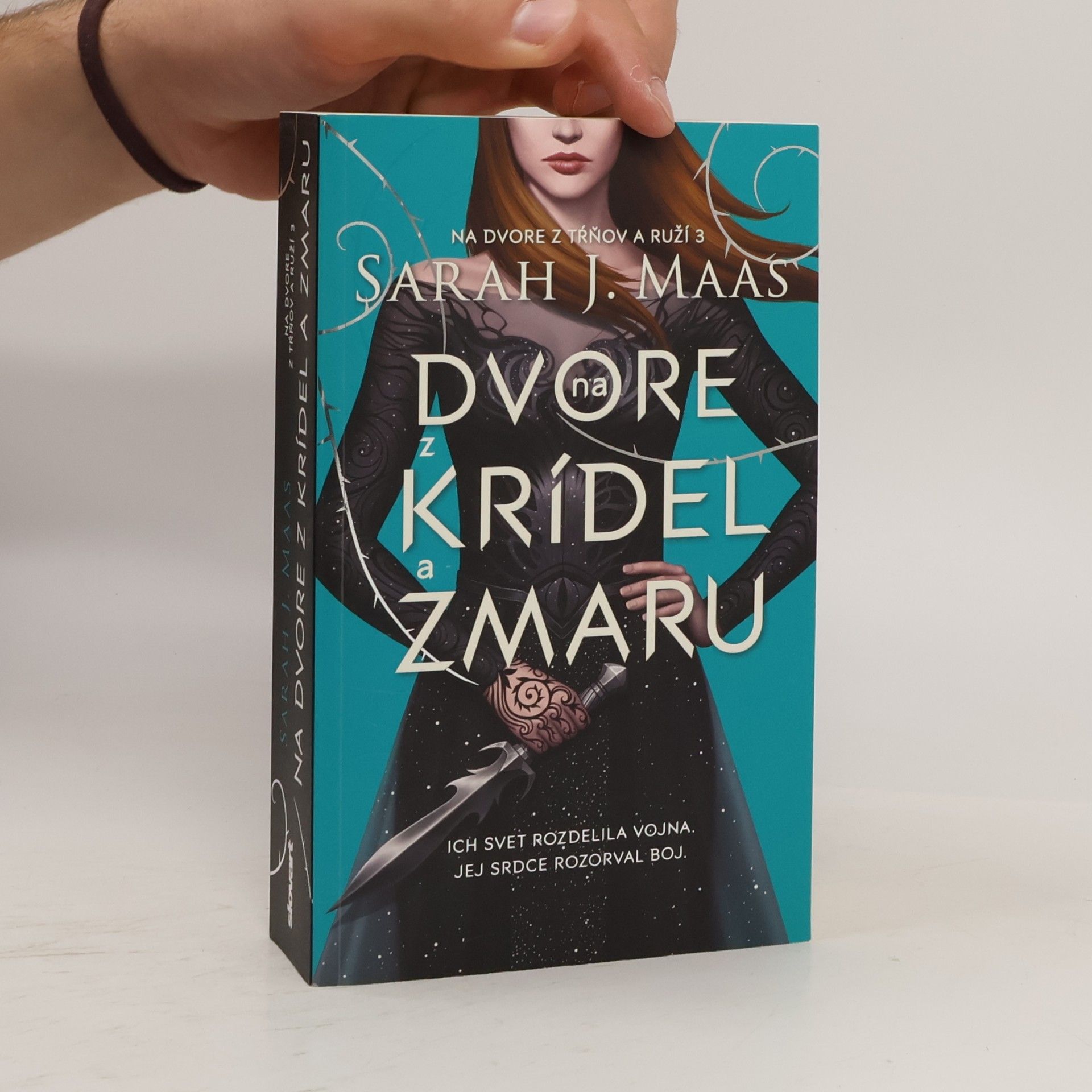 Sarah J. Maas Na dvore z krídel a zmaru