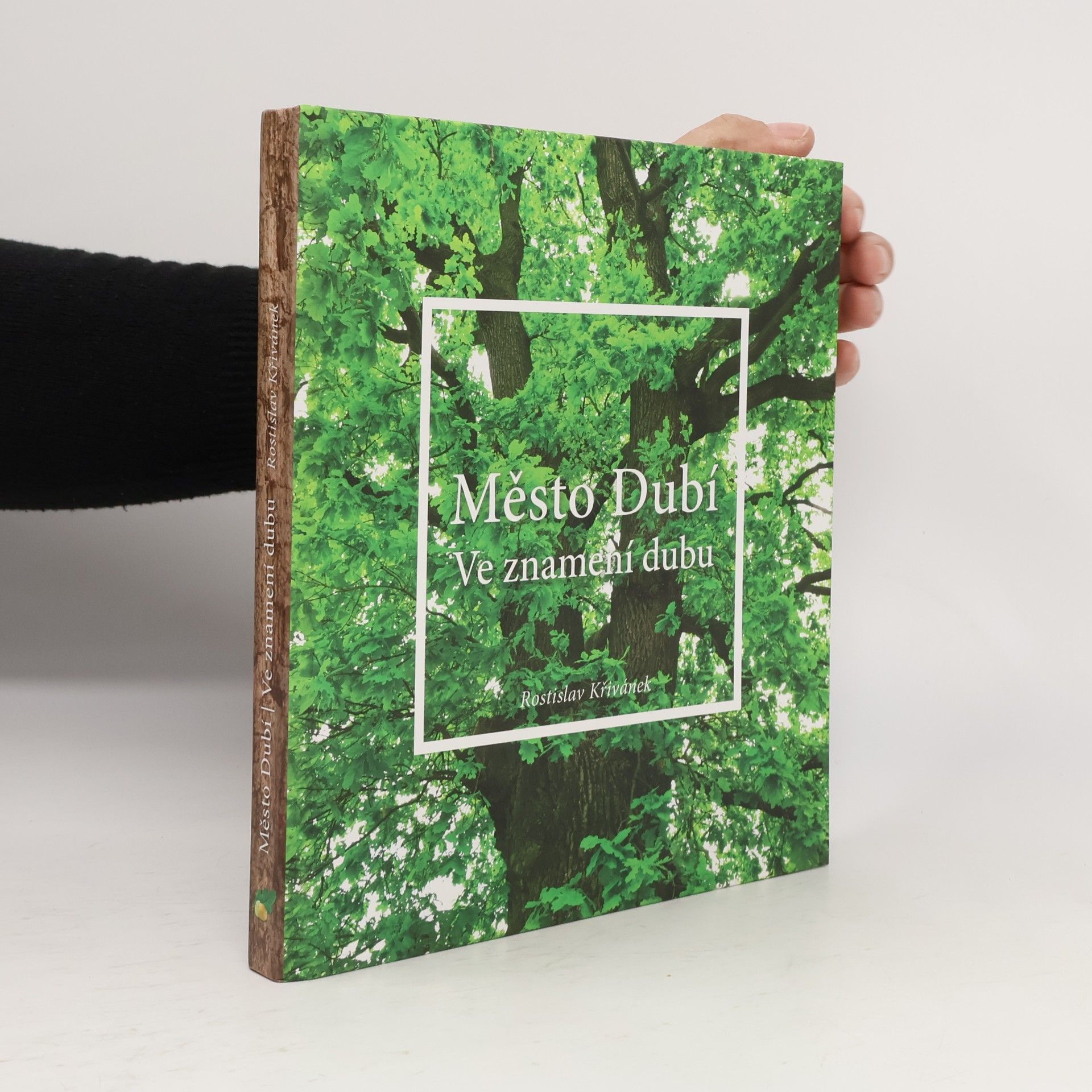 Město Dubí : ve znamení dubu
