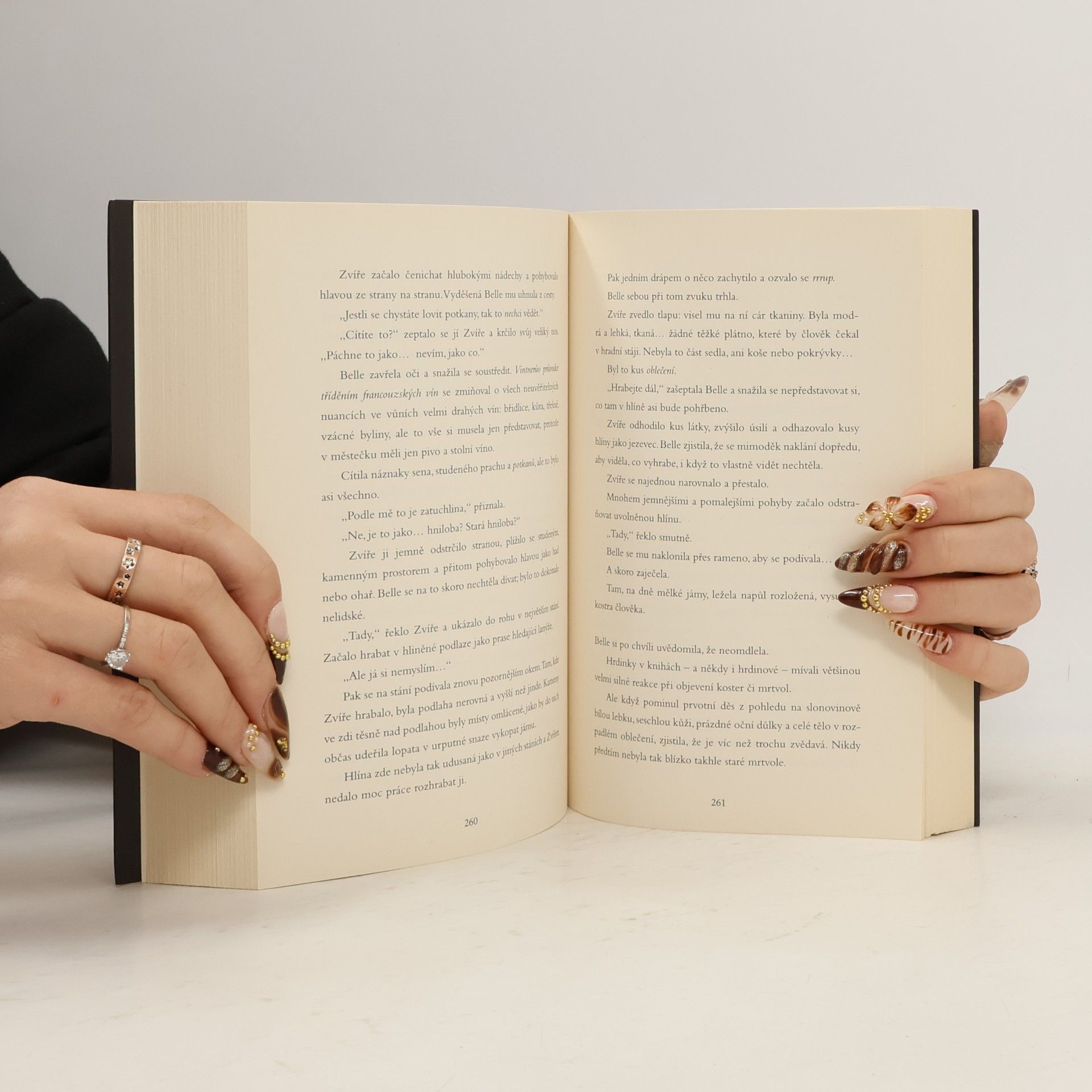 Liz Braswell Starý jako čas sám: Co kdyby na Zvíře uvrhla kletbu Bellina matka