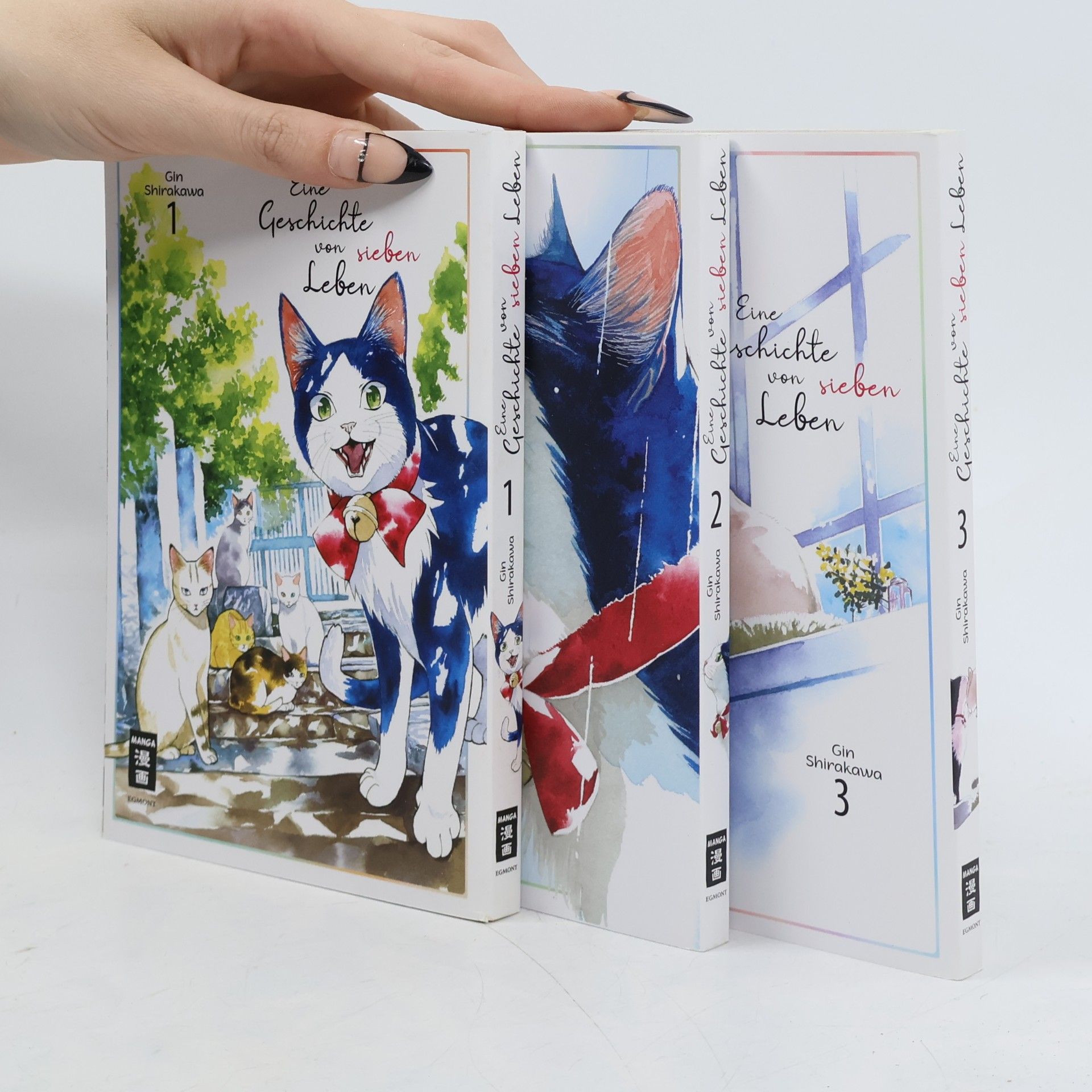 Gin Shirakawa Eine Geschichte von sieben Leben 03