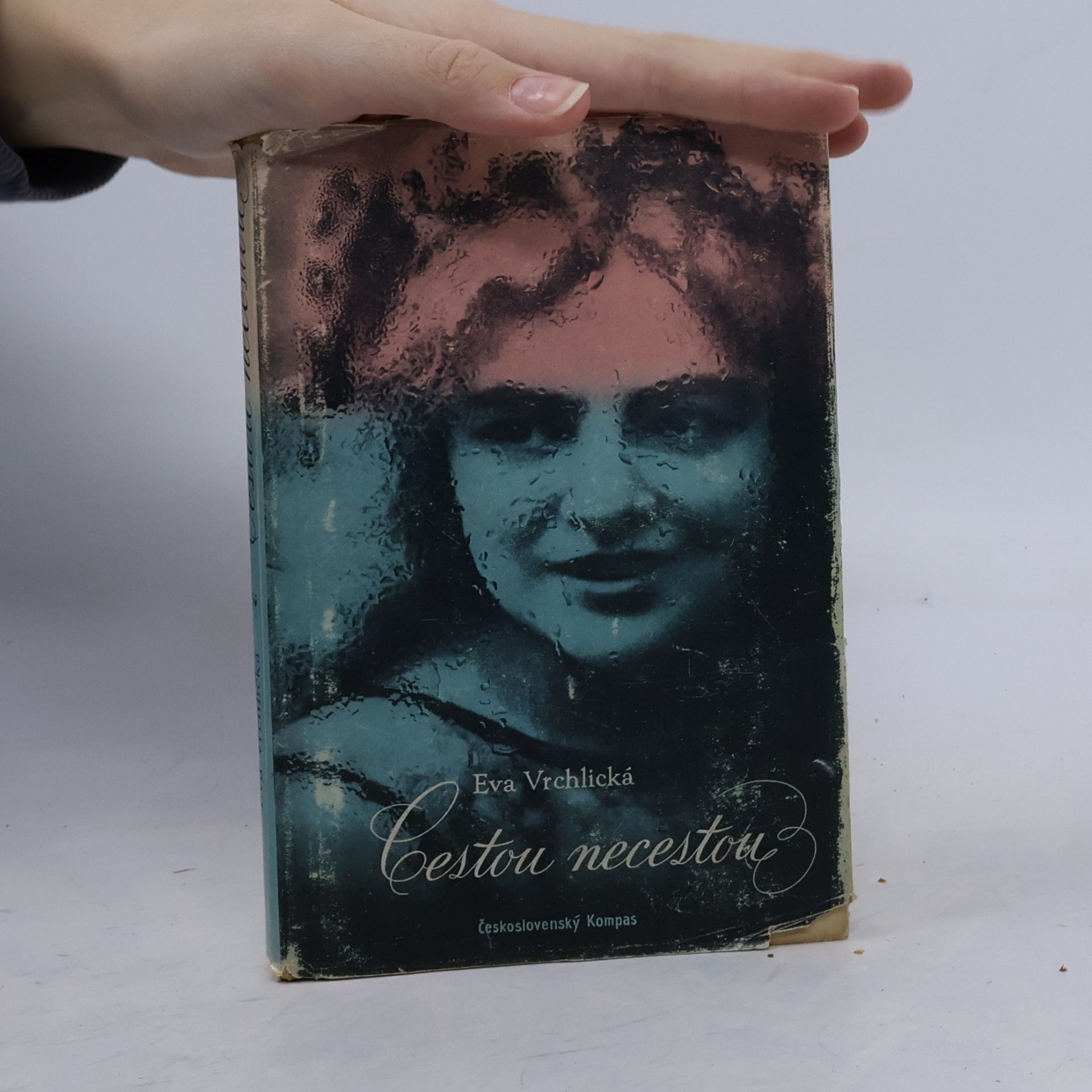 Eva Vrchlická Cestou necestou