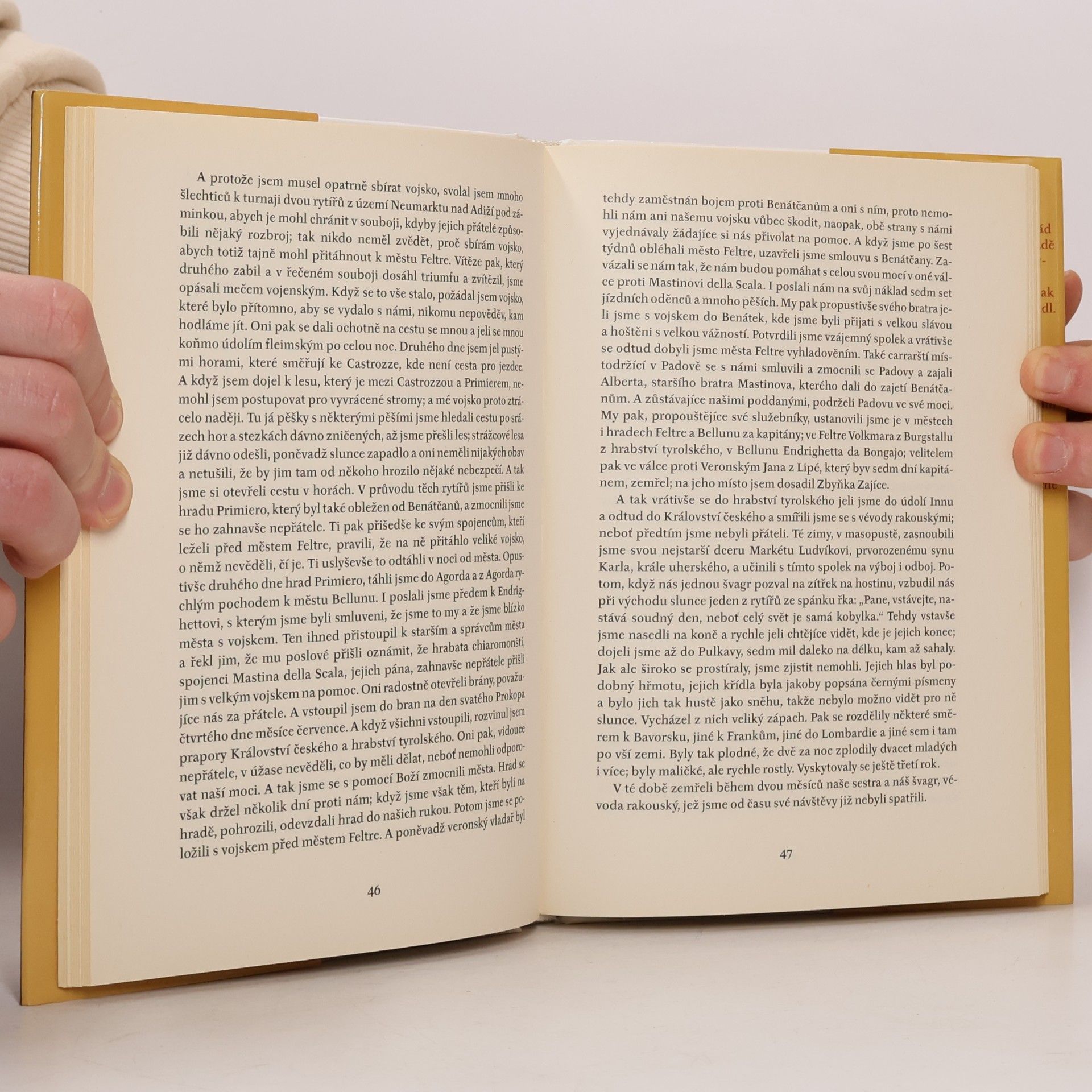 Karel IV. Lucemburský Literární dílo