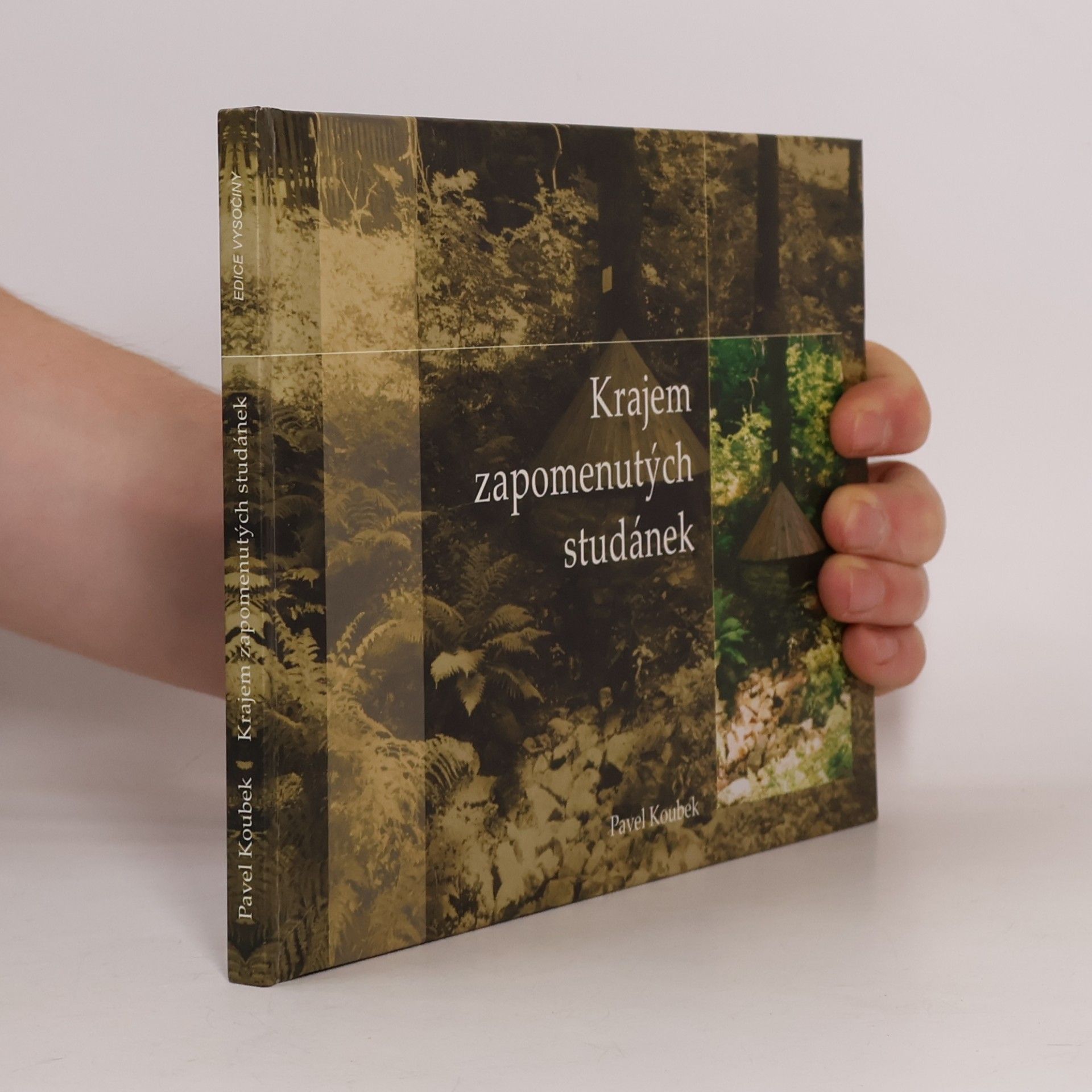 Pavel Koubek Krajem zapomenutých studánek