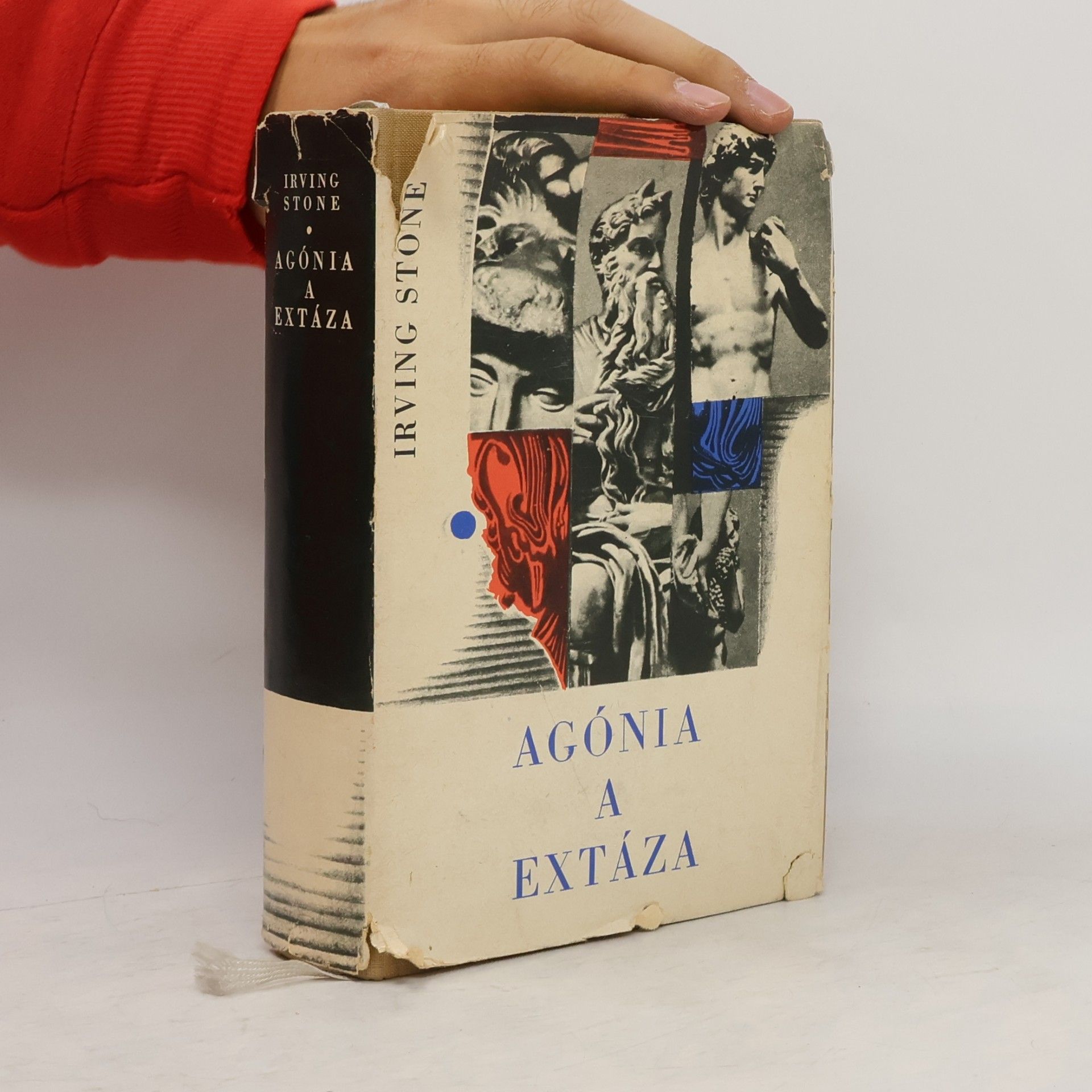 Irving Stone Agónia a extáza