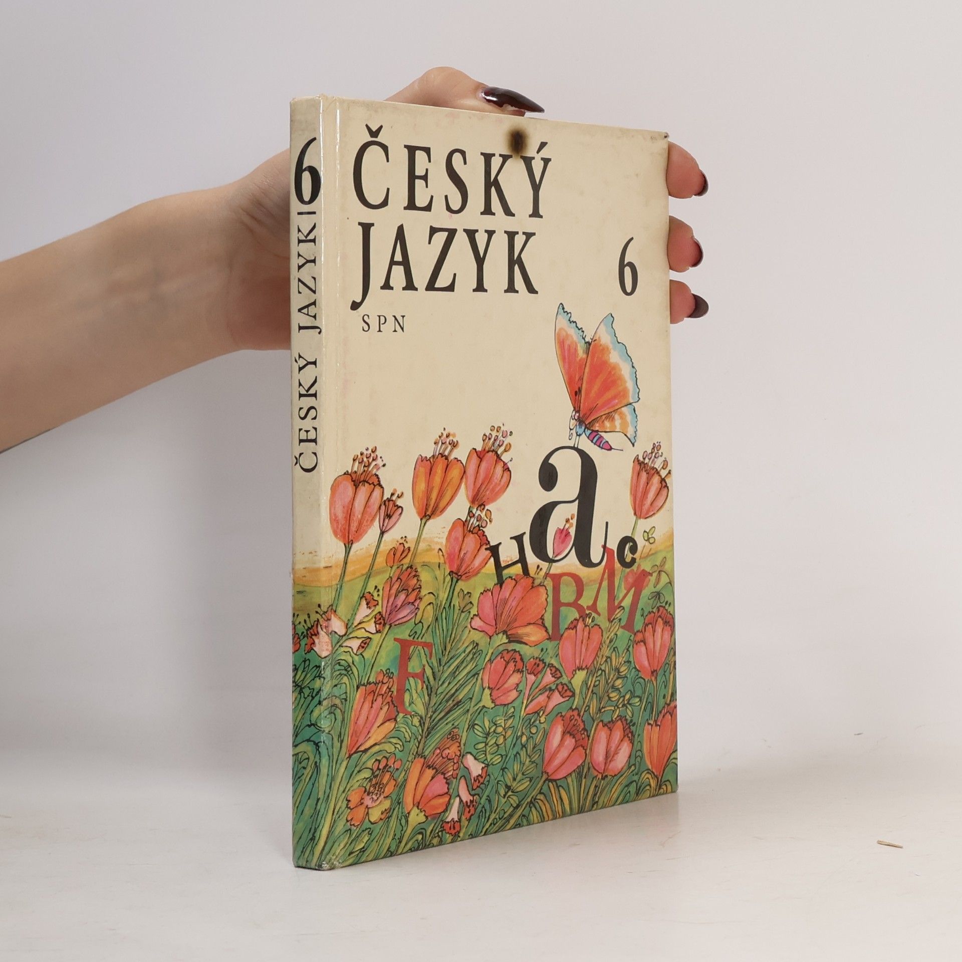 Autorenkollektiv Česky jazyk 6